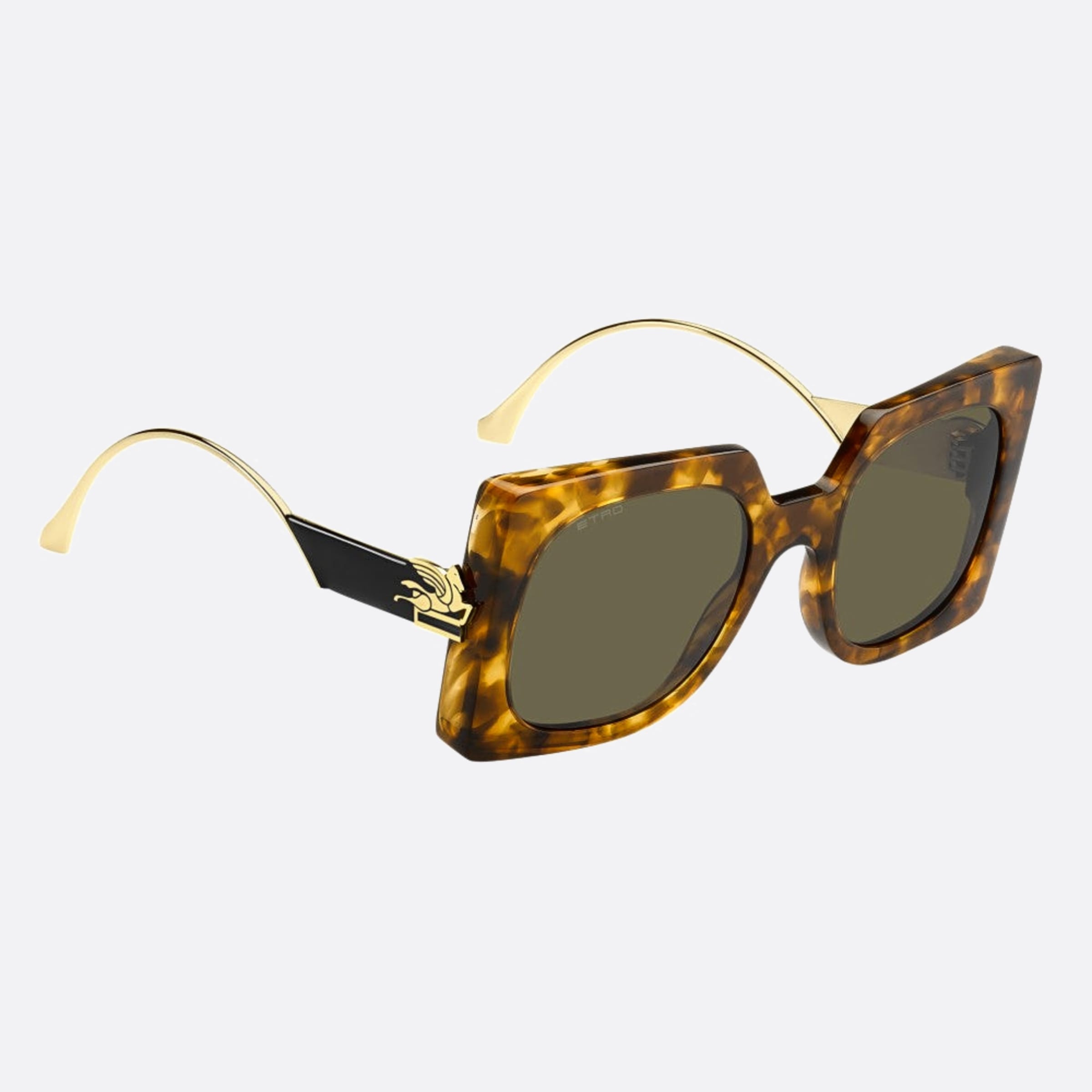 ETRO 0026/S 54 Havana