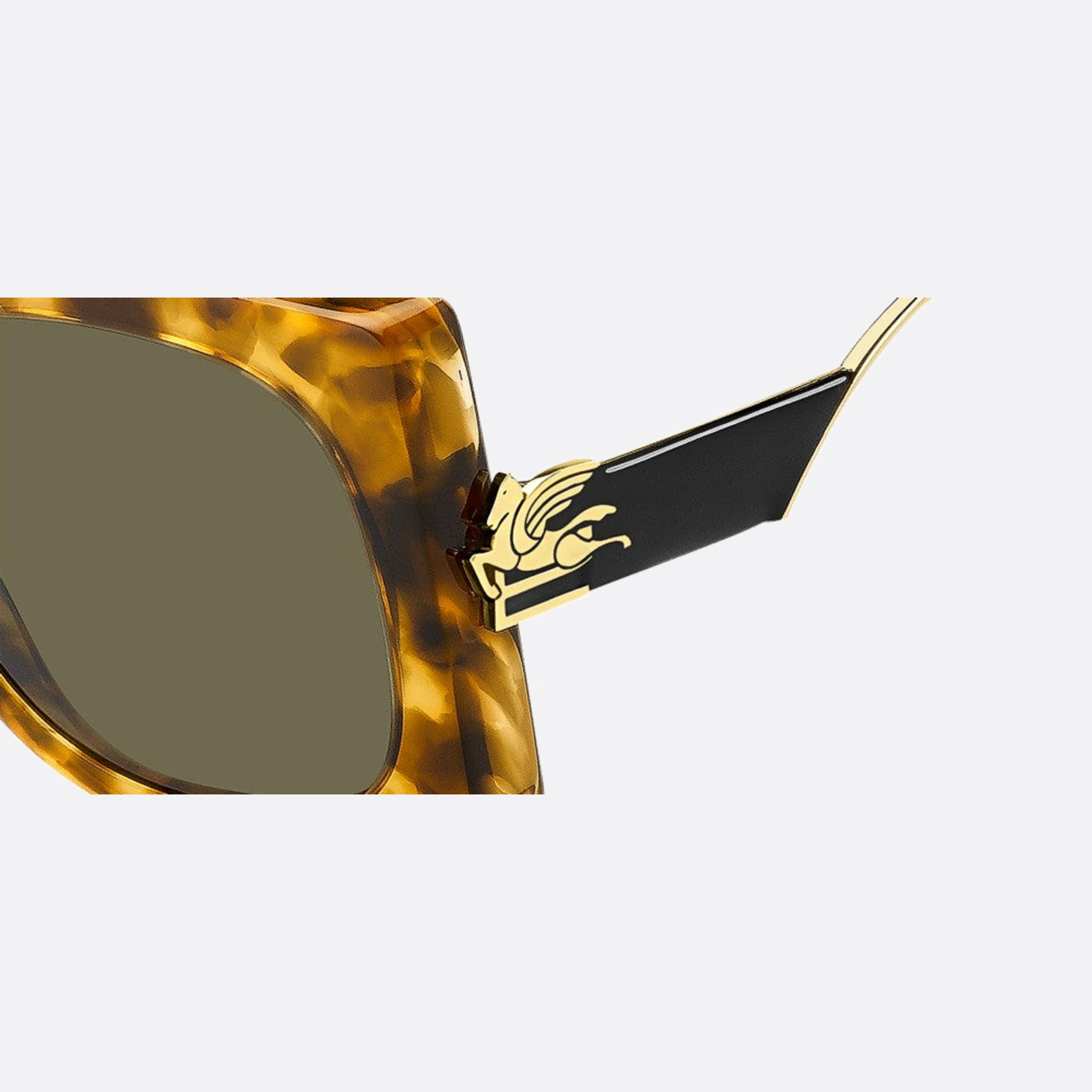 ETRO 0026/S 54 Havana