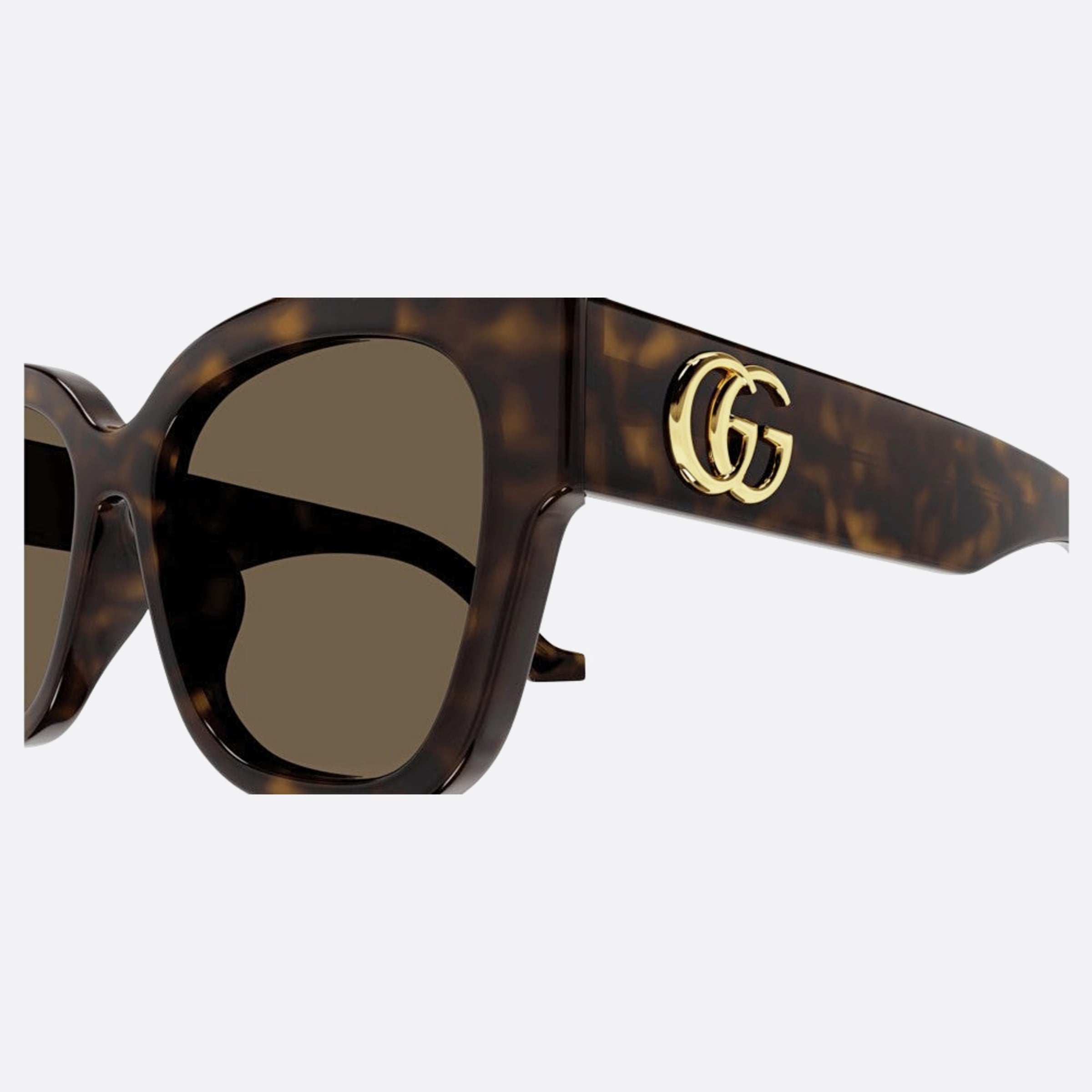 GG1550SK 54 Havana