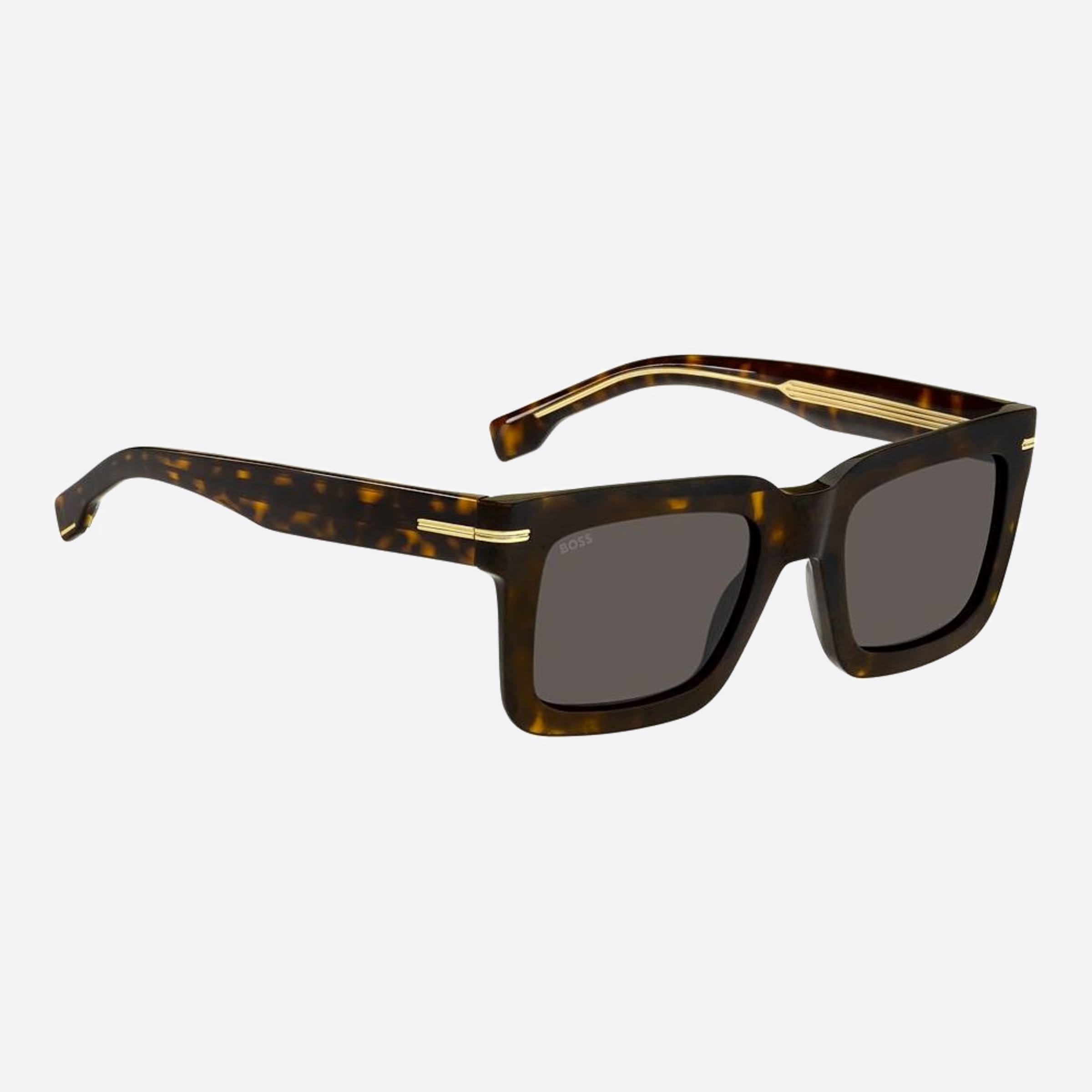 Boss 51mm Boss Havana Geometric Men Sunglasses - Detail View