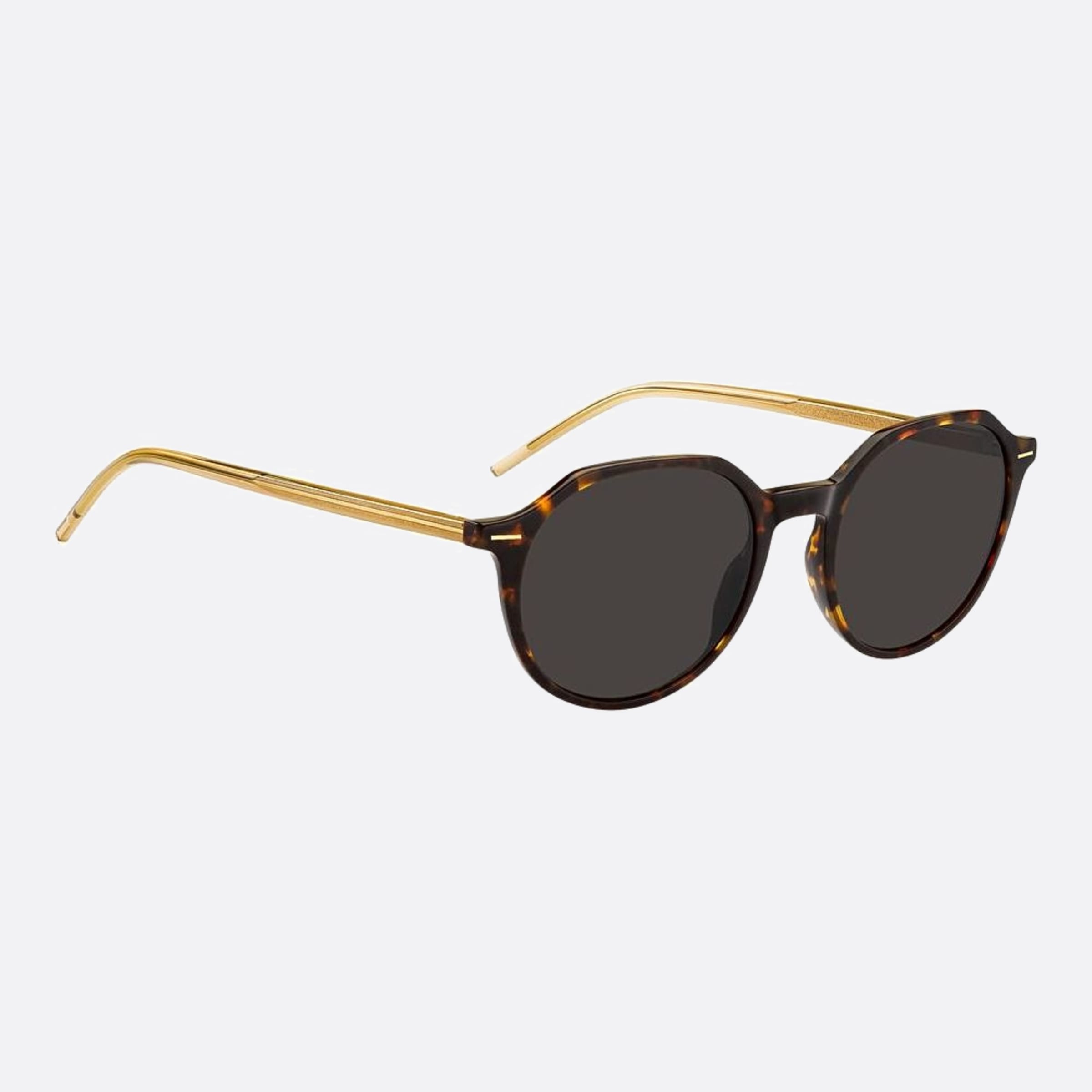 Boss 51mm Boss Hjv Havana Round Women Sunglasses - Lifestyle Shot