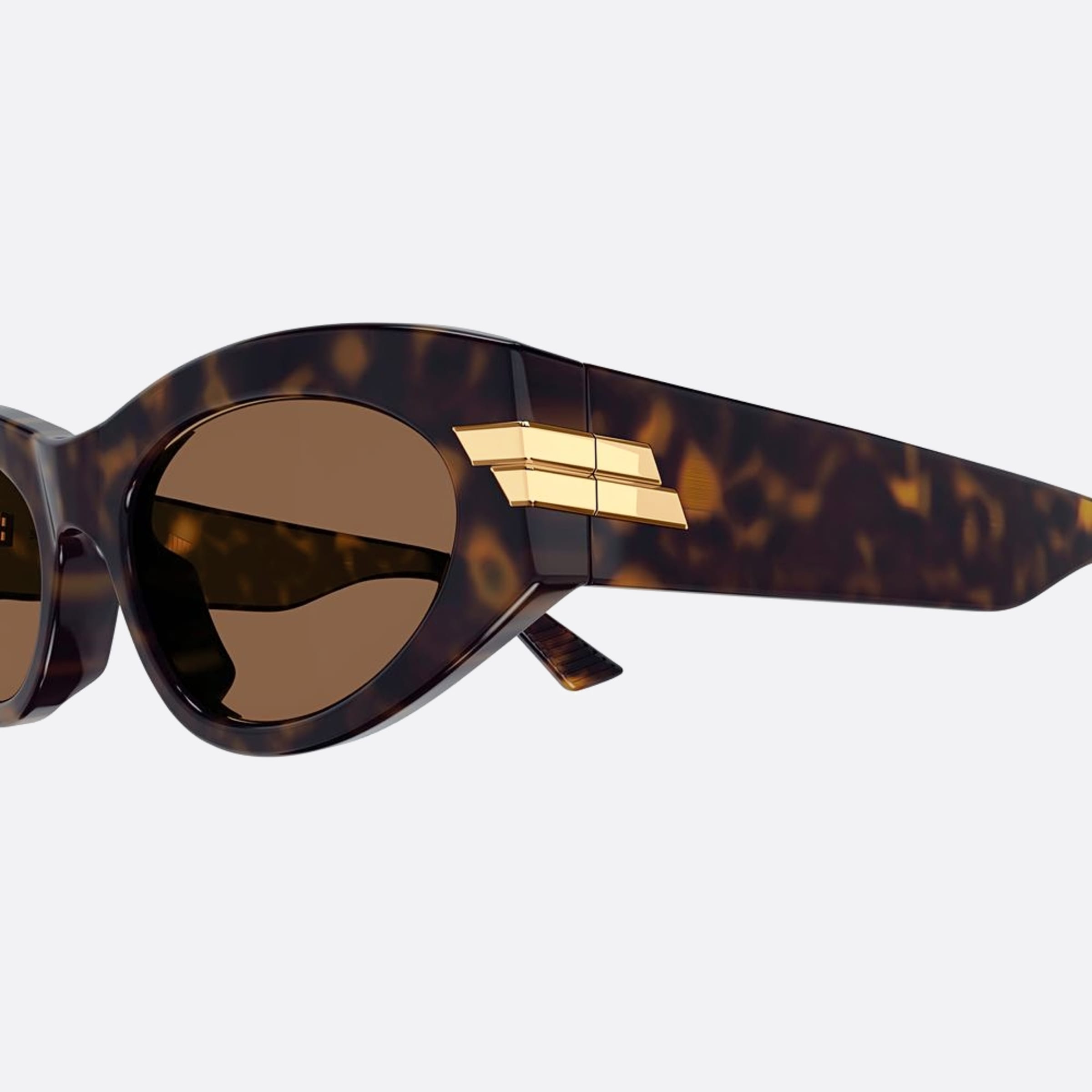 Bottega 53mm Veneta Havana Cat Eye Woman Sunglasses - Detail View