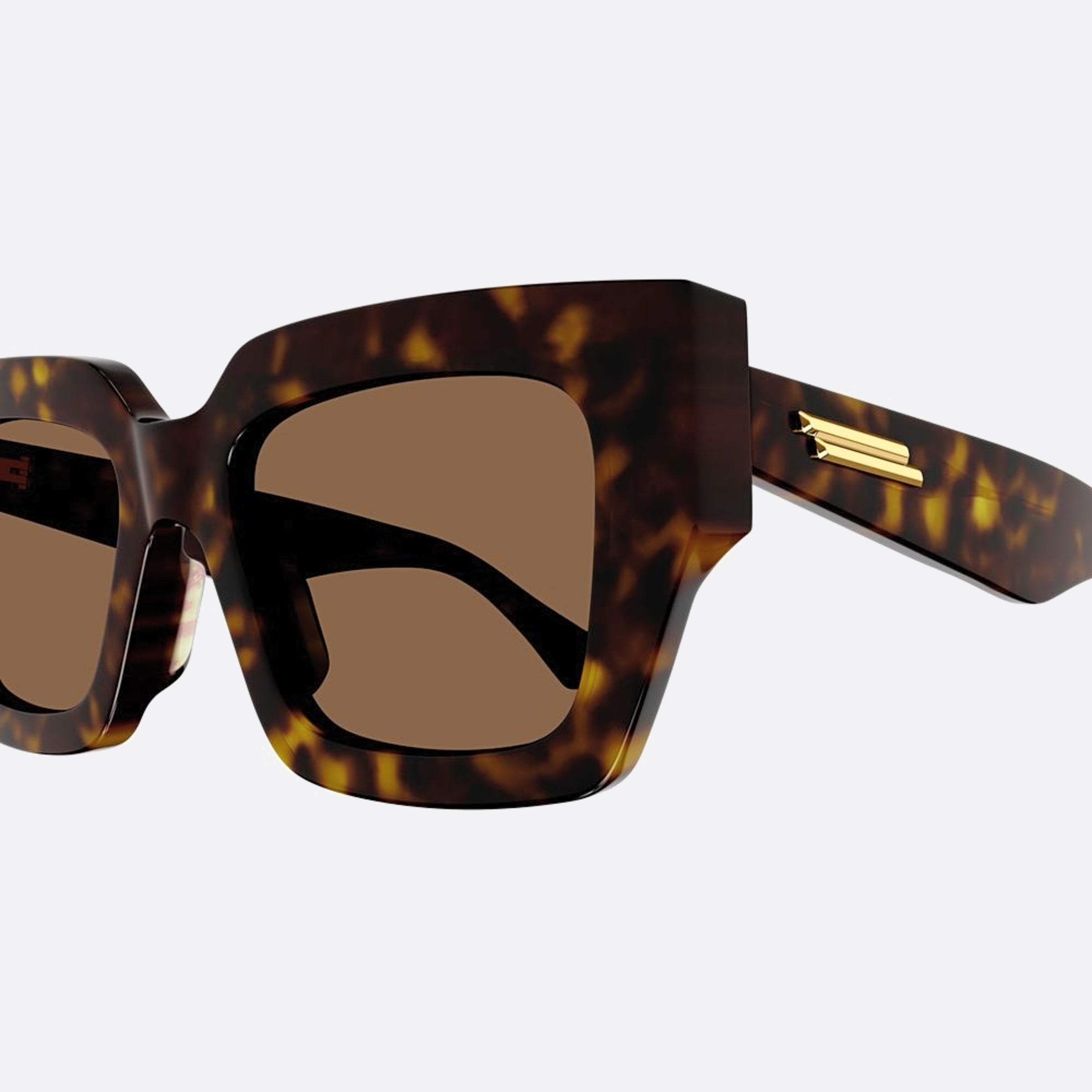 Bottega 52mm Veneta Havana Squared Woman Sunglasses - Detail View