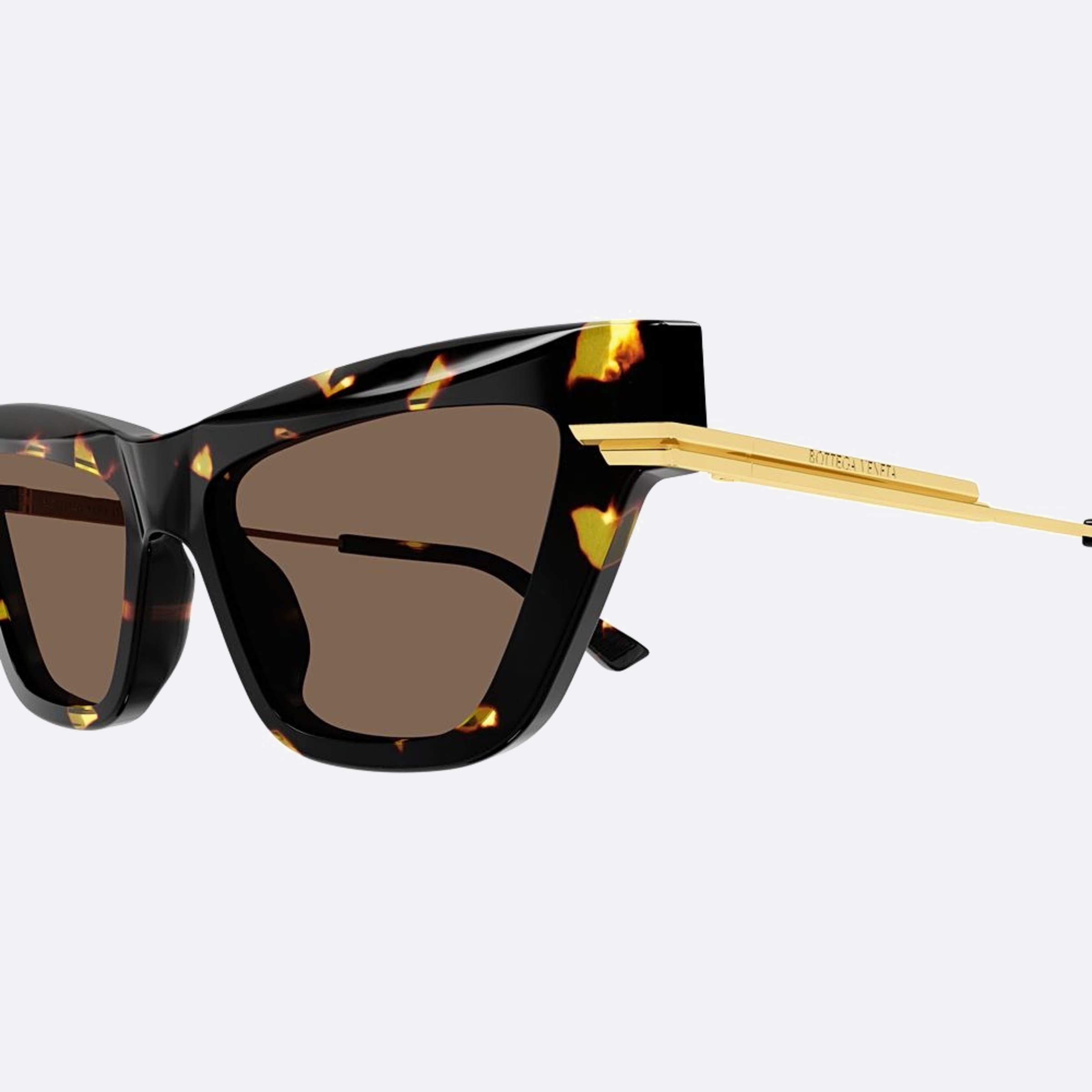 Bottega 54mm Veneta Havana Cat Eye Woman Sunglasses - Lifestyle Shot