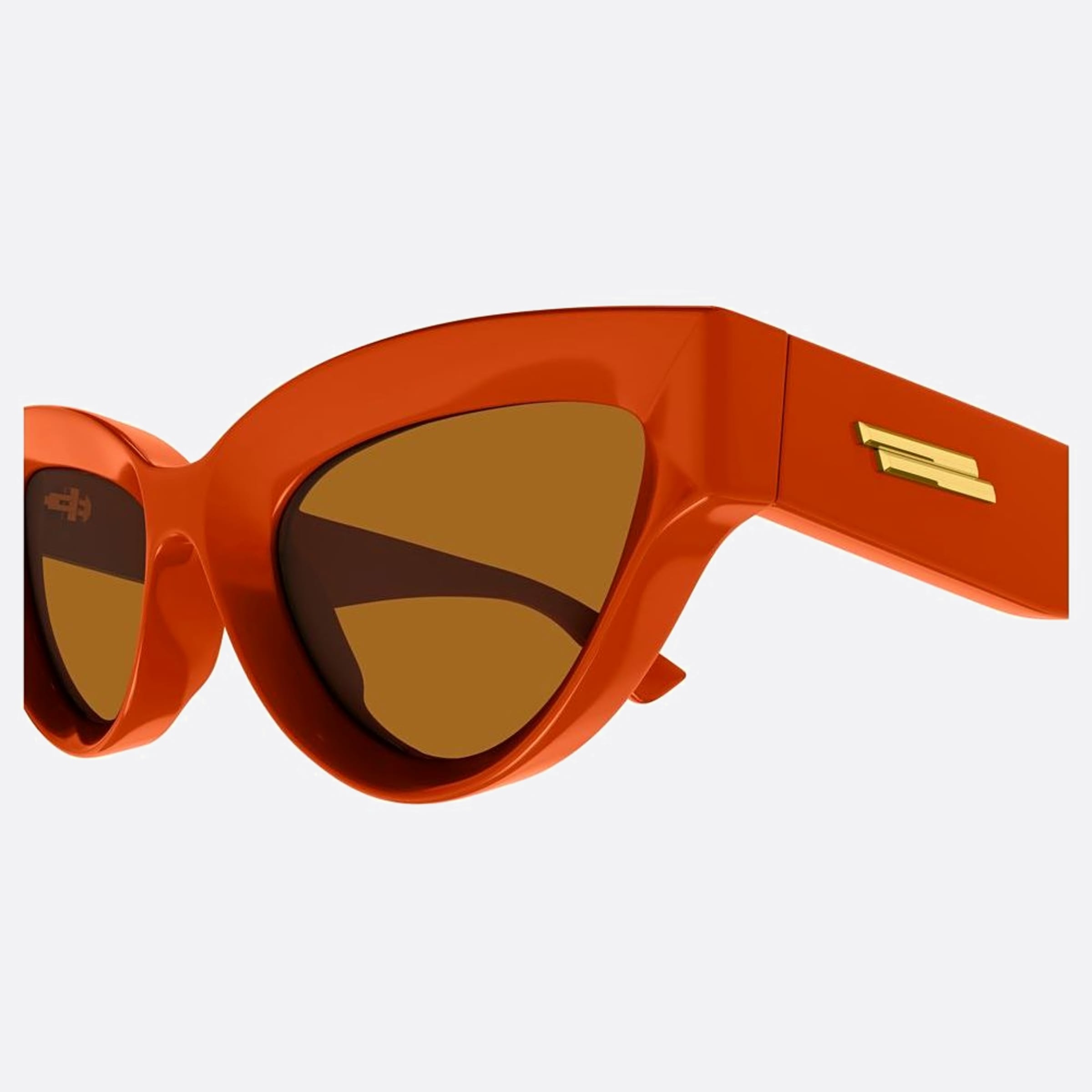 Bottega 53mm Veneta Orange Cat Eye Woman Sunglasses - Detail View