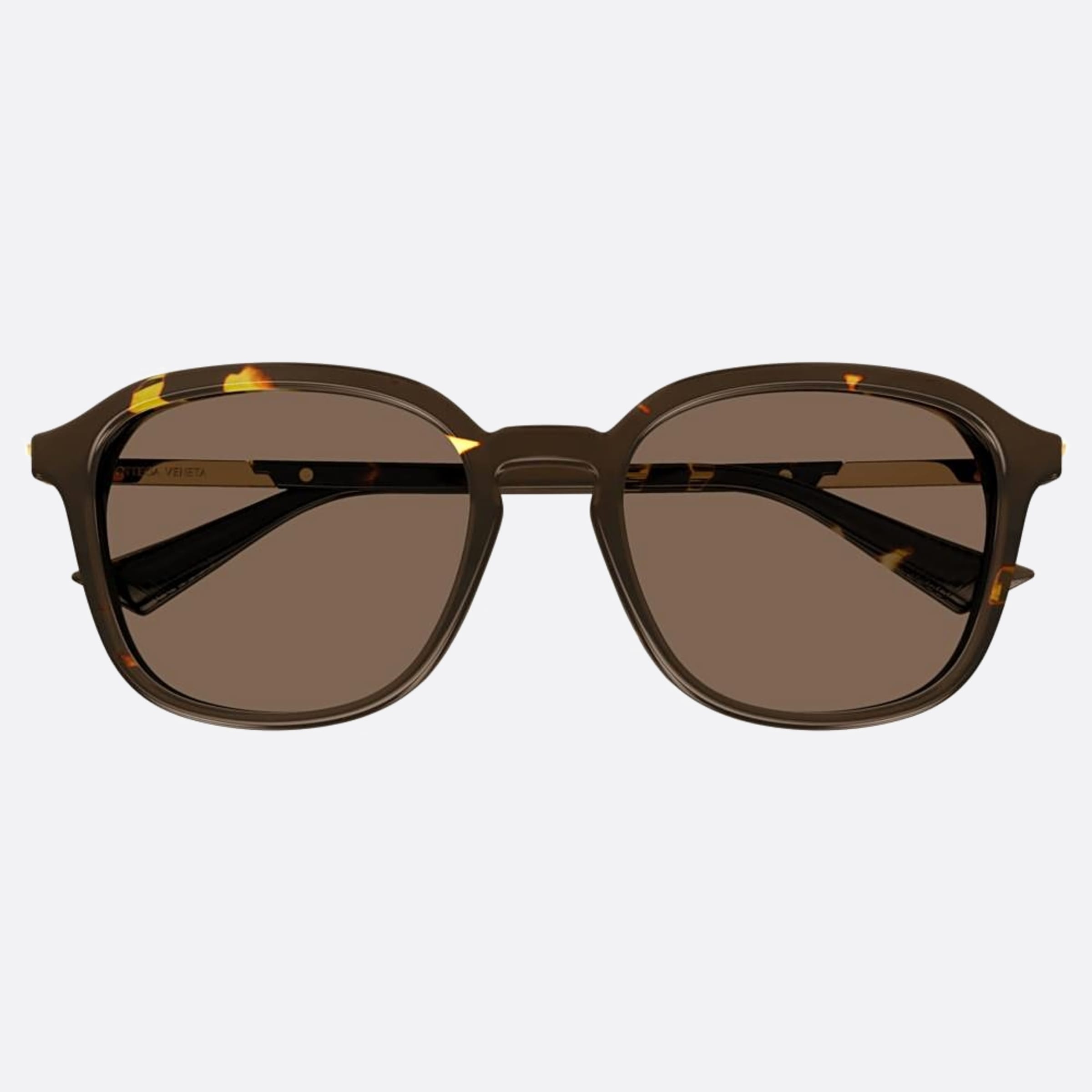 Bottega 55mm Veneta Bv1262sa Havana Squared Man Sunglasses - Main View
