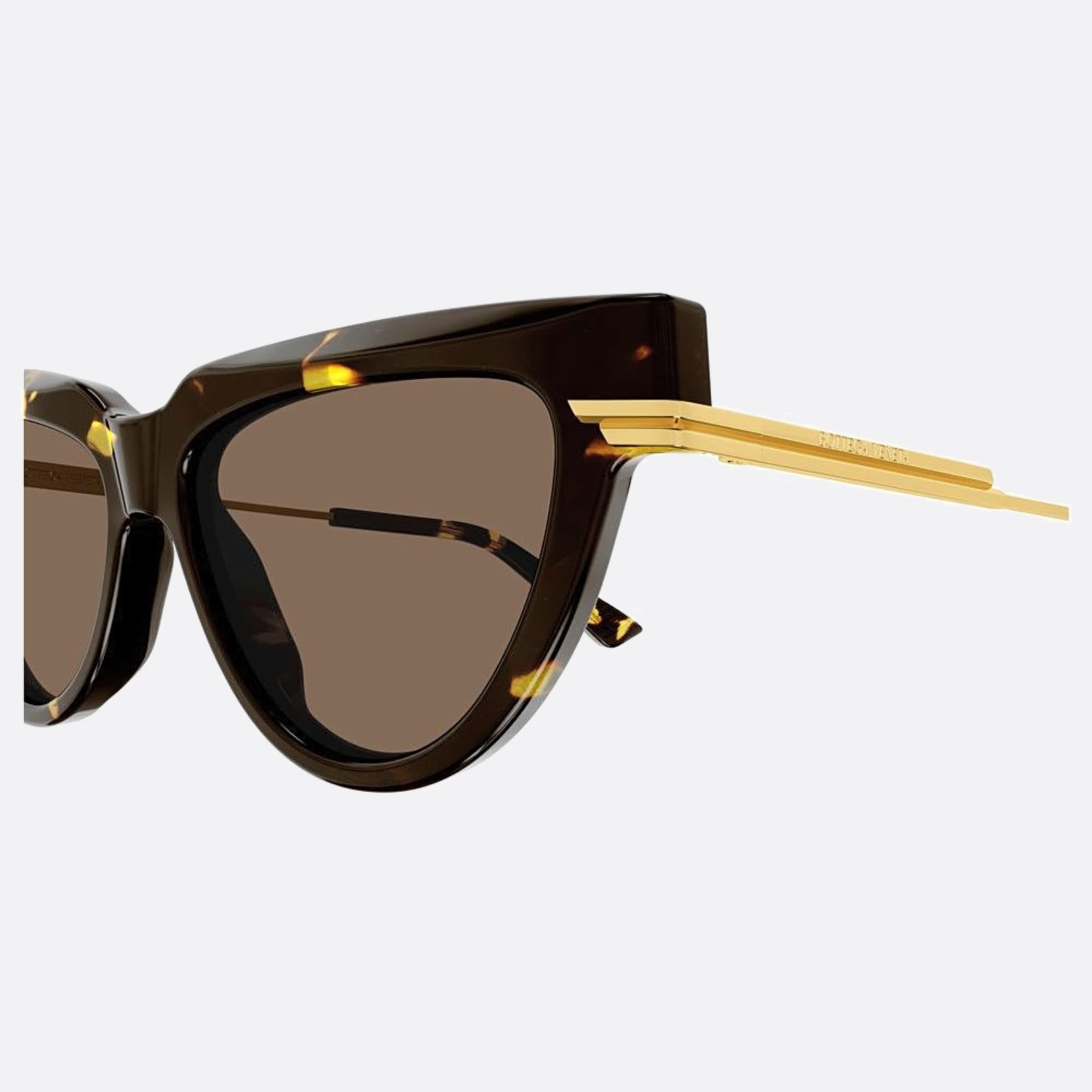 Bottega 54mm Veneta Havana Cat Eye Woman Sunglasses - Detail View