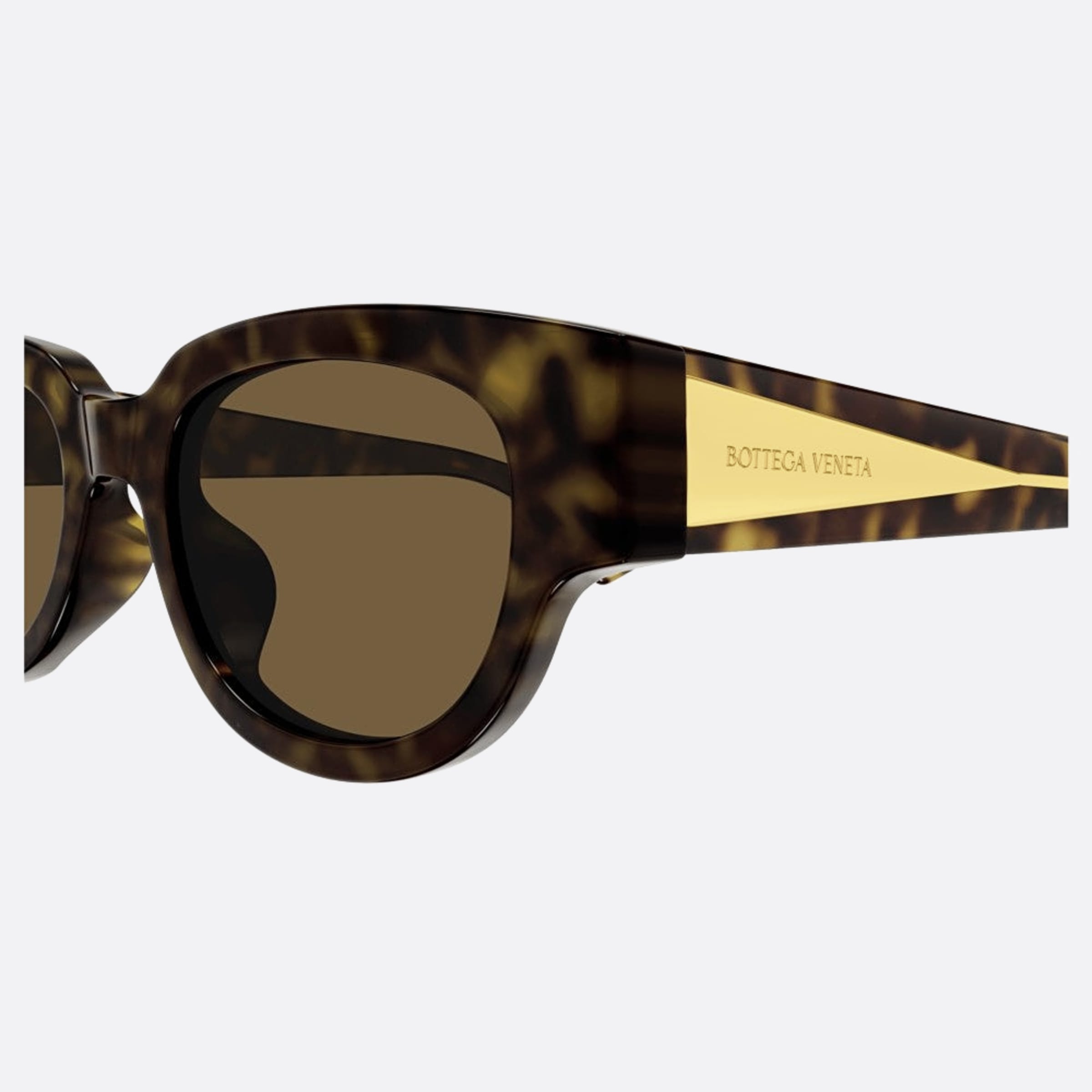 Bottega 52mm Veneta Bv1278sa Havana Squared Woman Sunglasses - Detail View