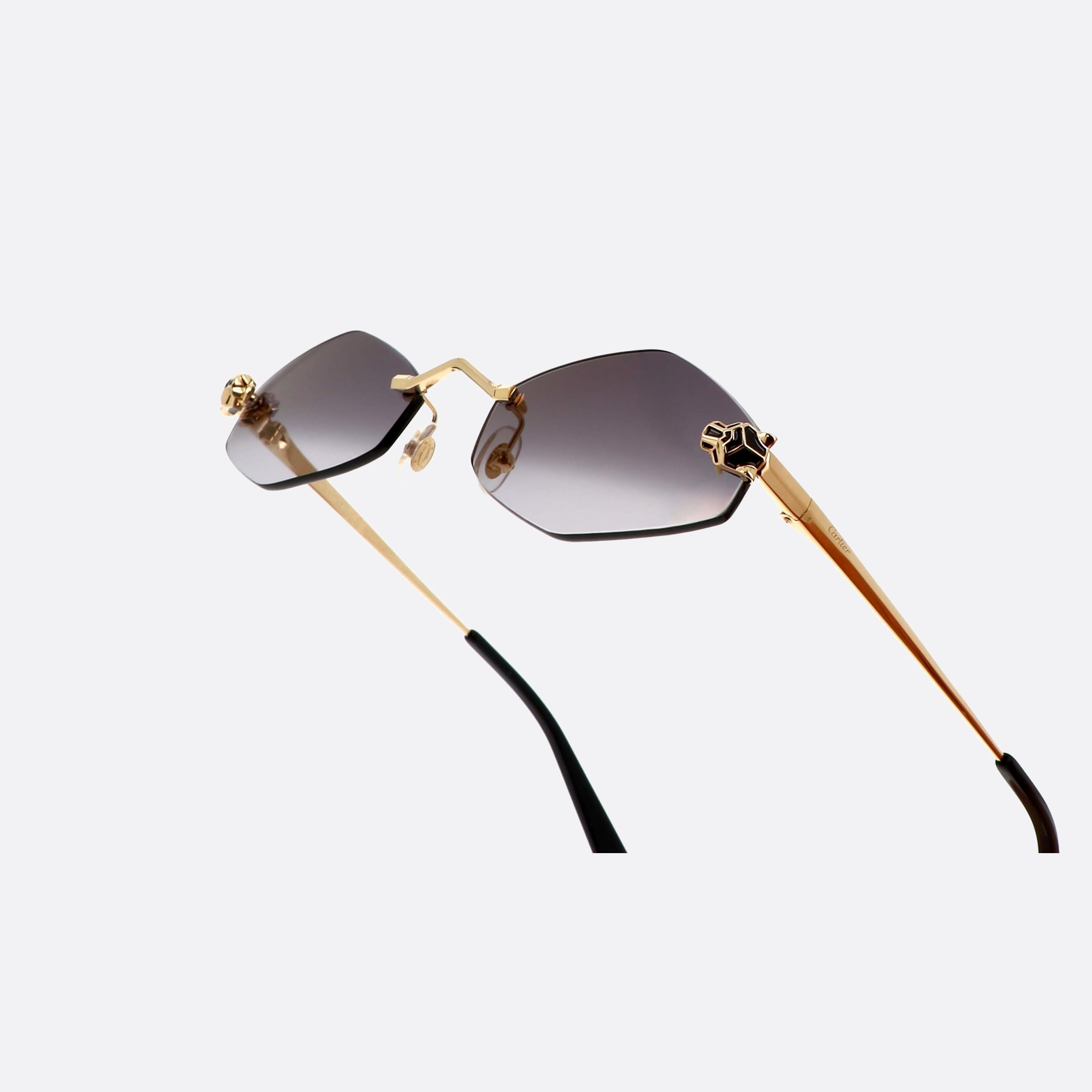 Cartier 55mm Core Range Gold Geometric Polarized Women Sunglasses - Lifestyle Shot
