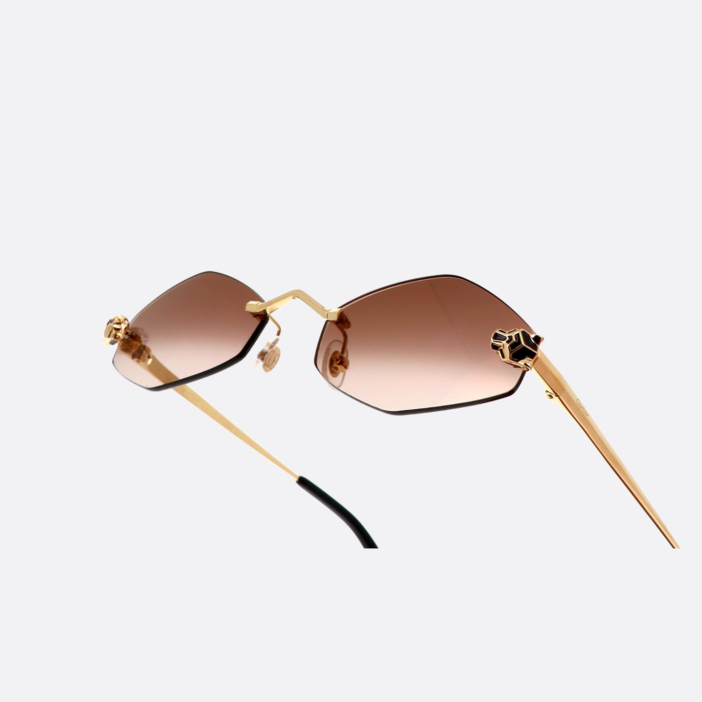 Cartier 55mm Core Range Gold Geometric Polarized Women Sunglasses - Lifestyle Shot
