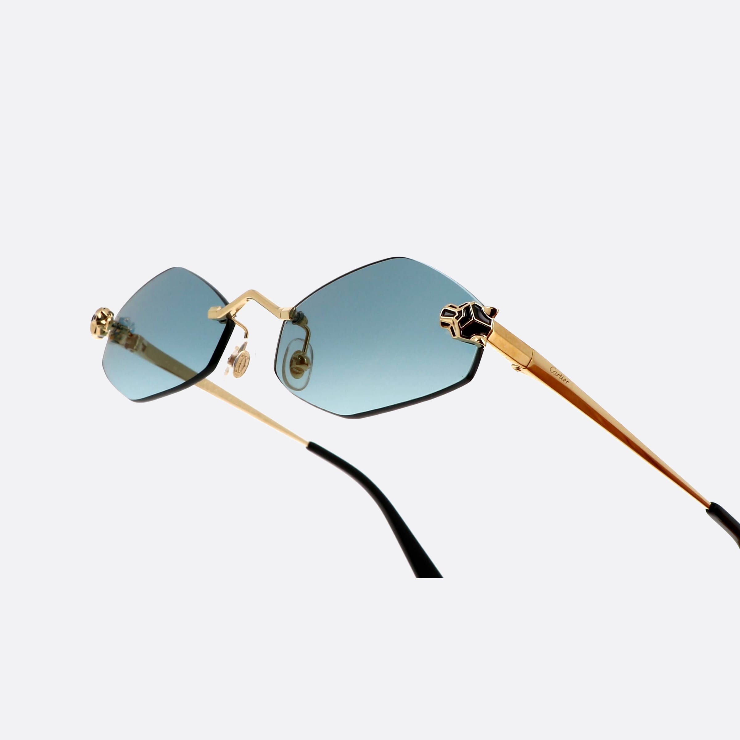 Cartier 55mm Core Range Vgt Gold Geometric Polarized Women Sunglasses - Lifestyle Shot