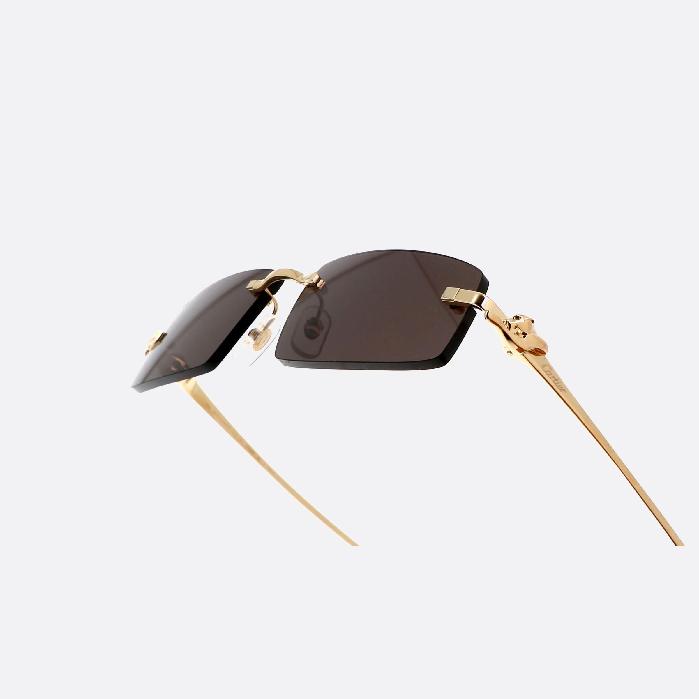 Cartier 58mm Core Range Gold Rectangle Unisex Sunglasses - Lifestyle Shot