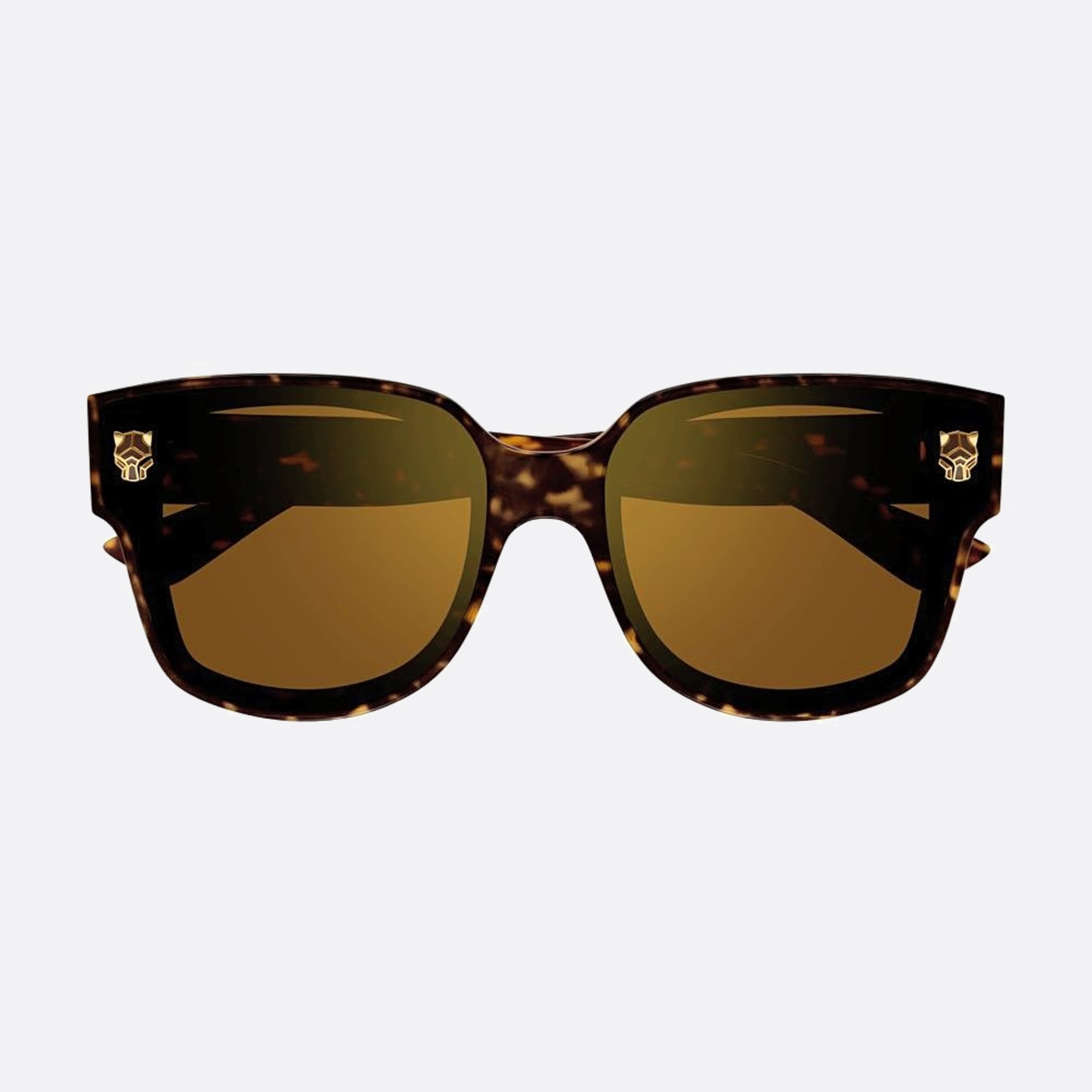 Cartier 63mm Ct0357sa Havana Squared Women Sunglasses - Detail View