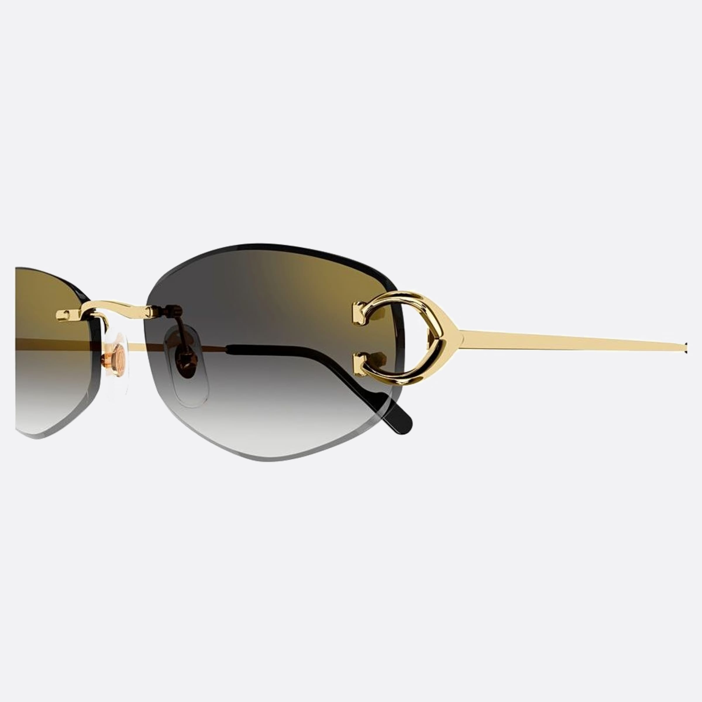 Cartier 57mm Gold Rectangle Women Sunglasses - Lifestyle Shot