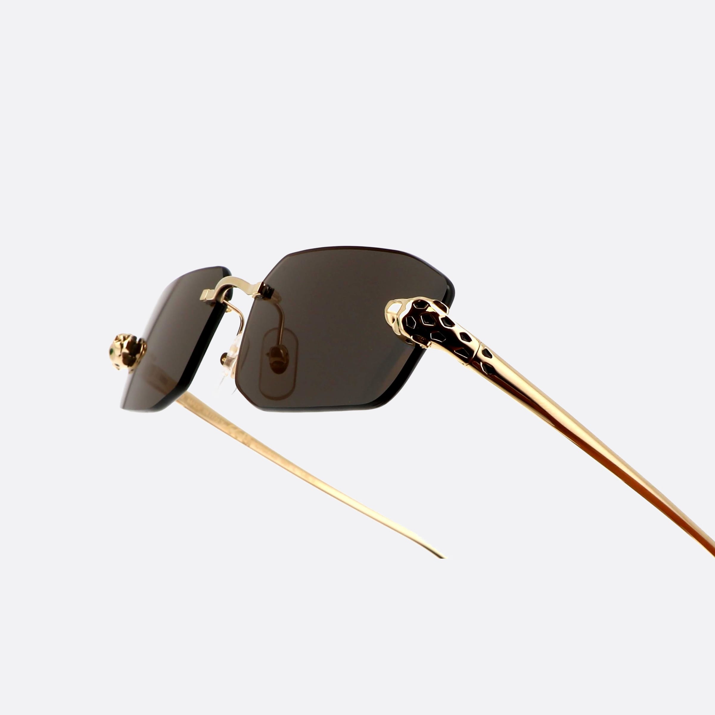 Cartier 56mm Exception Gold Rectangle Polarized Unisex Sunglasses - Lifestyle Shot