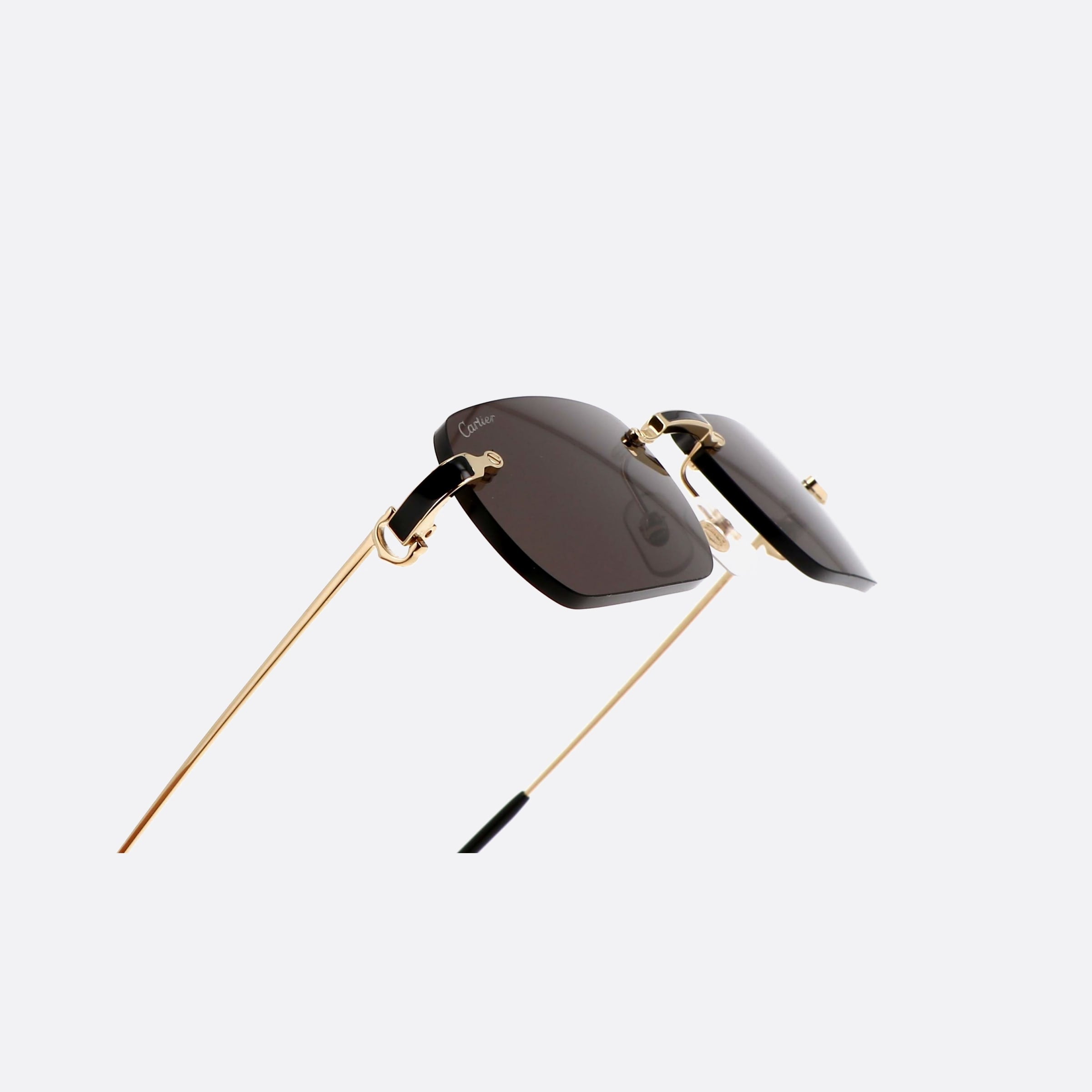 Cartier 55mm Exception Gold Rectangle Polarized Men Sunglasses - Lifestyle Shot