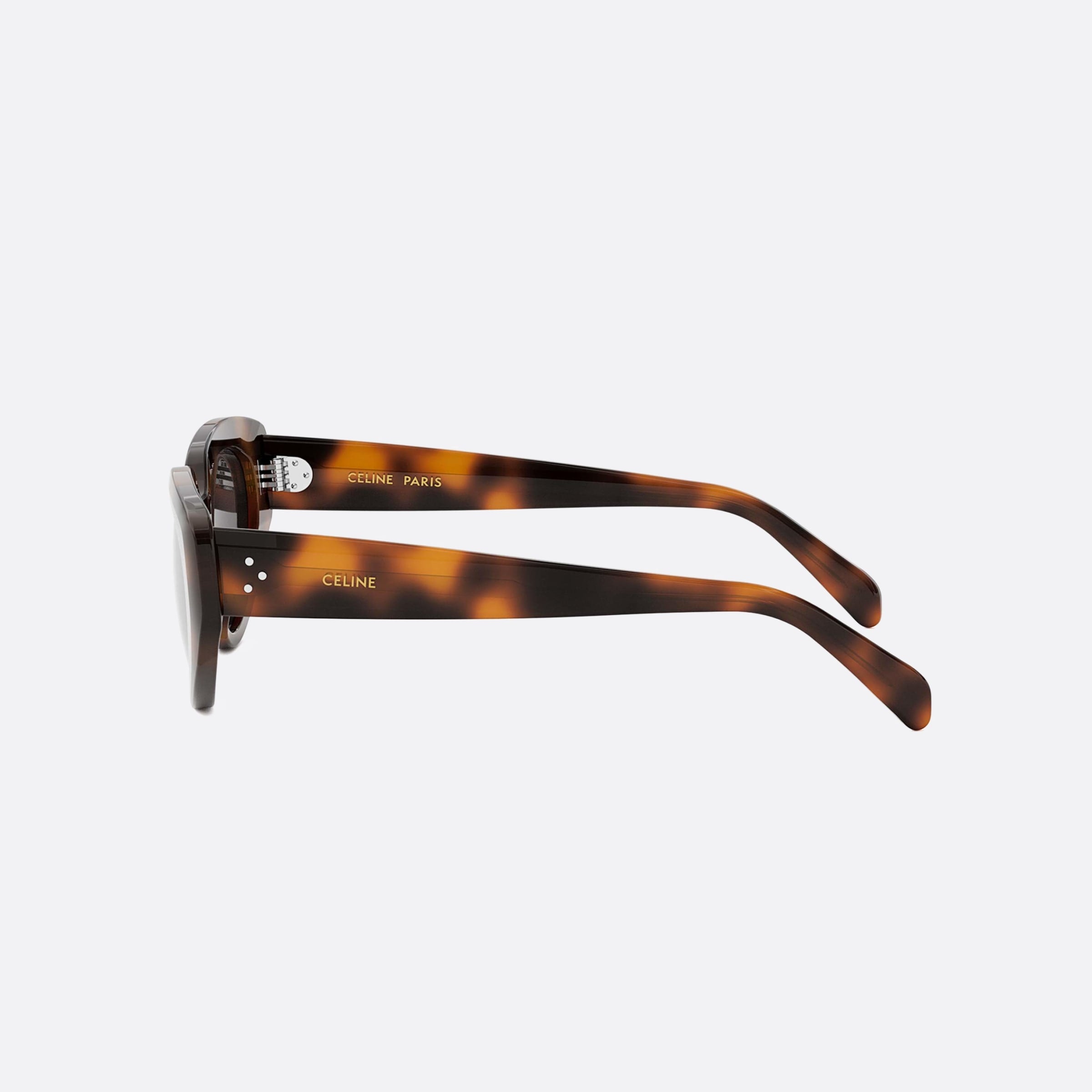 Celine 53mm Dots Cl40286i 53a Havana Cat Eye Women Sunglasses - Detail View