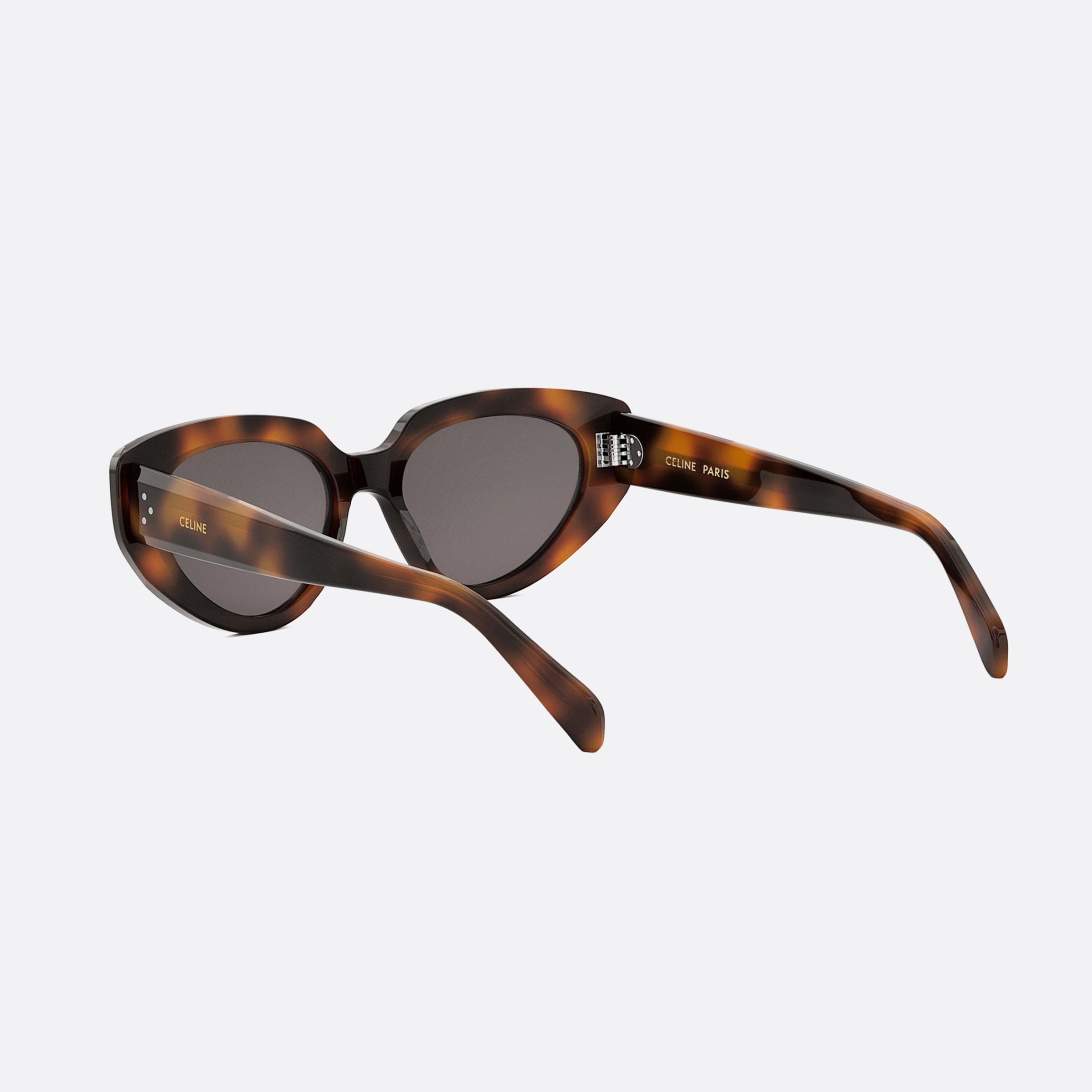 Celine 53mm Dots Cl40286i 53a Havana Cat Eye Women Sunglasses - Lifestyle Shot