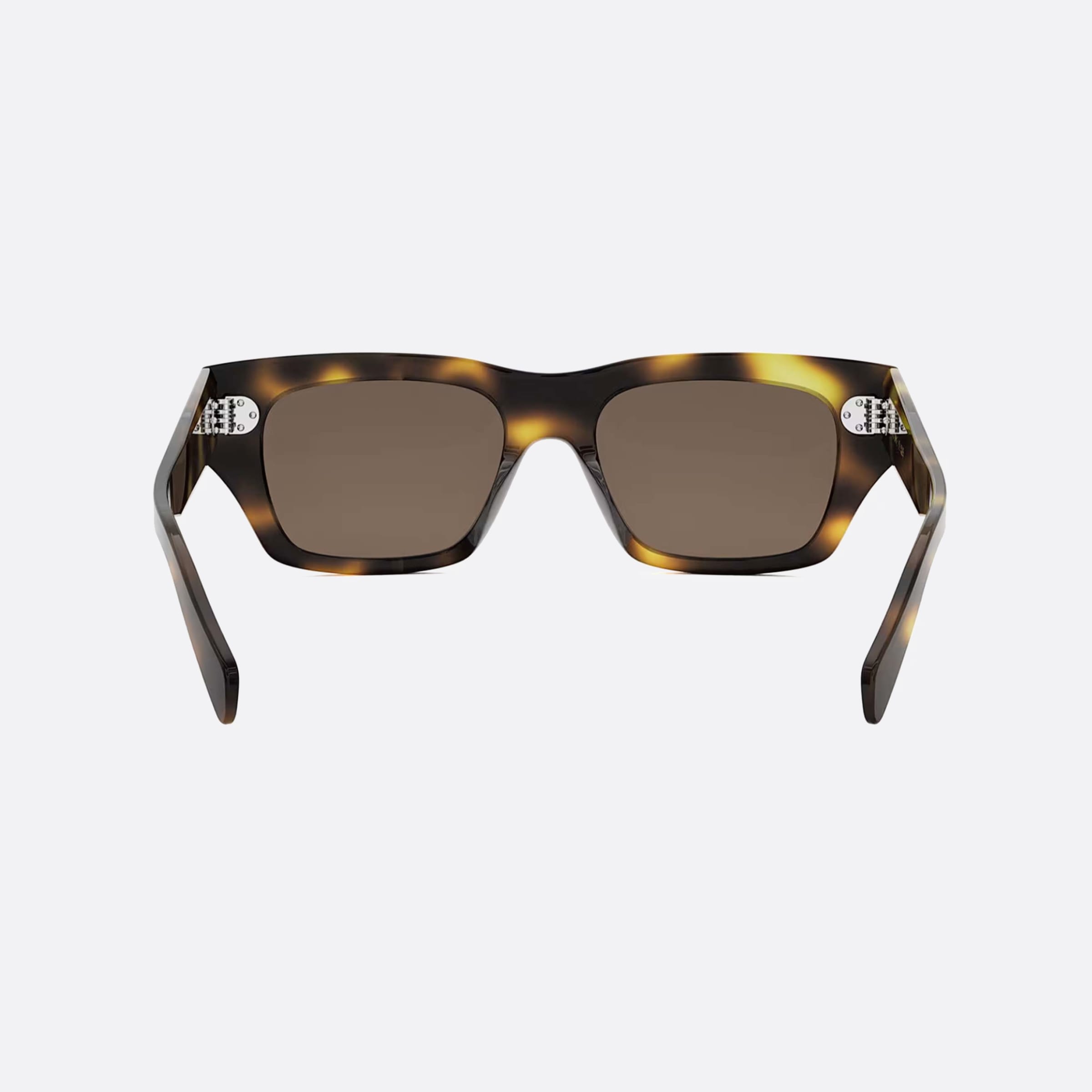 Celine 53mm Dots Cl40297u 53e Tortoise Polarized Men Sunglasses - Additional Angle