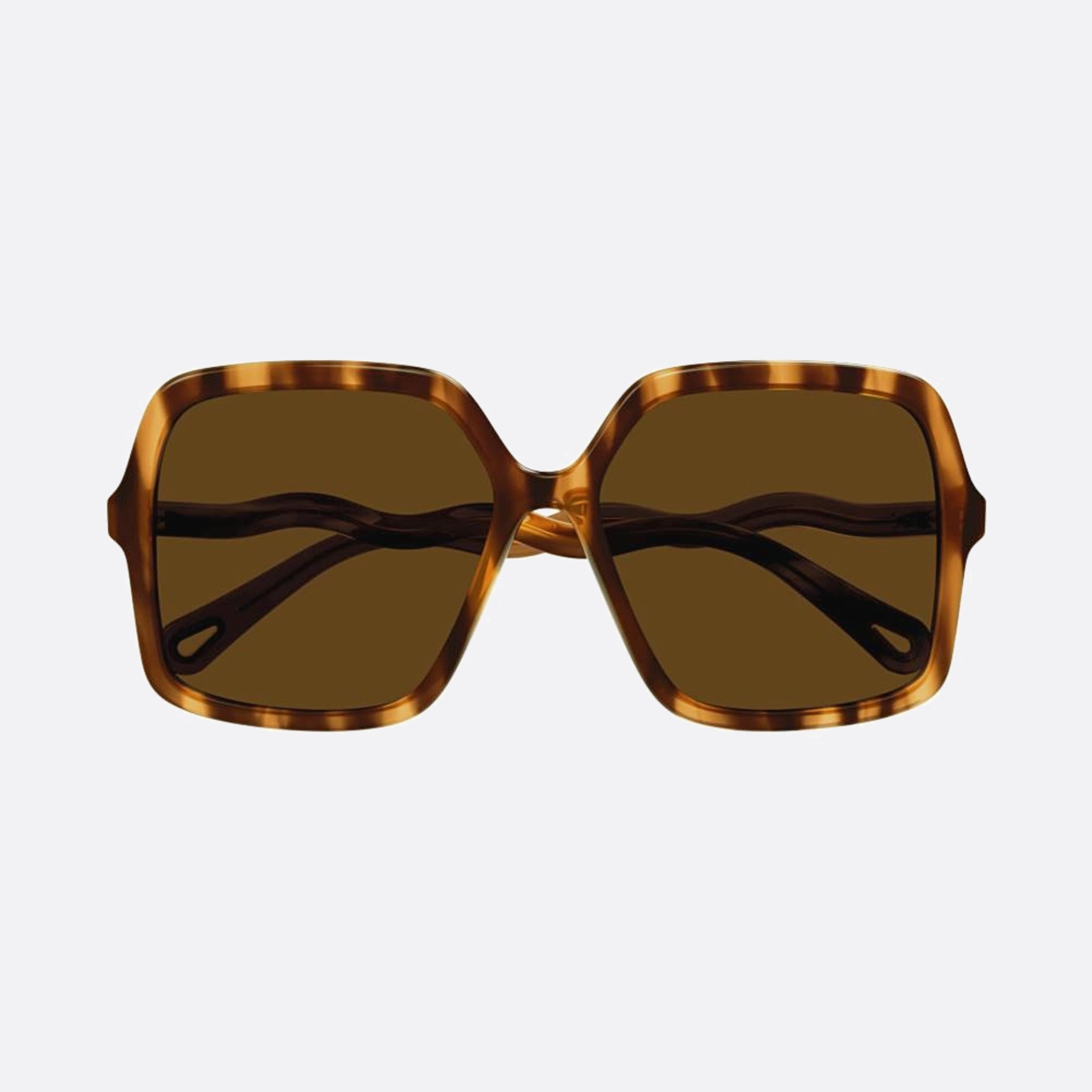 Chloe 58mm Havana Oversize Women Sunglasses - Main View
