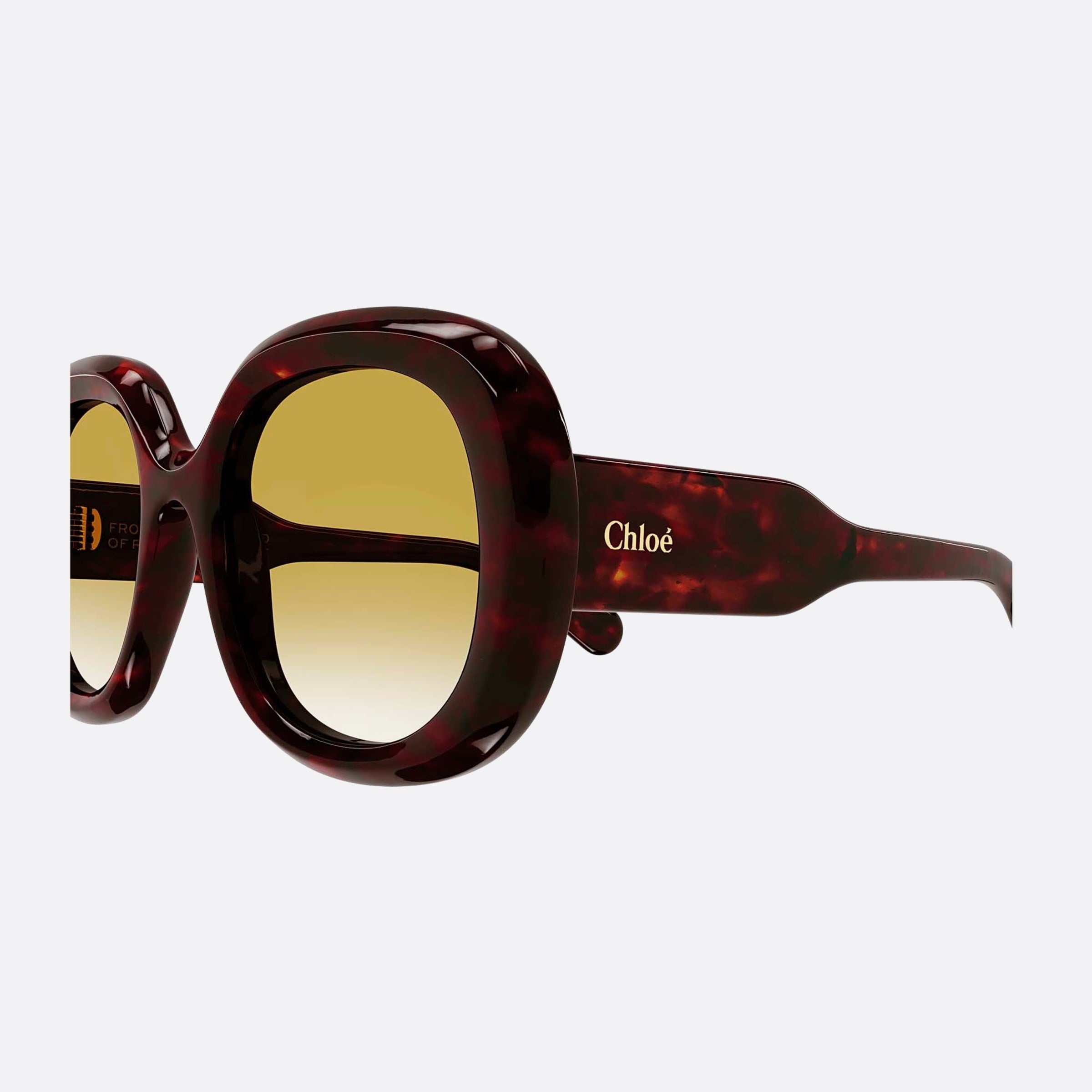 Chloe 54mm Sel Havana Oversize Women Sunglasses - Detail View