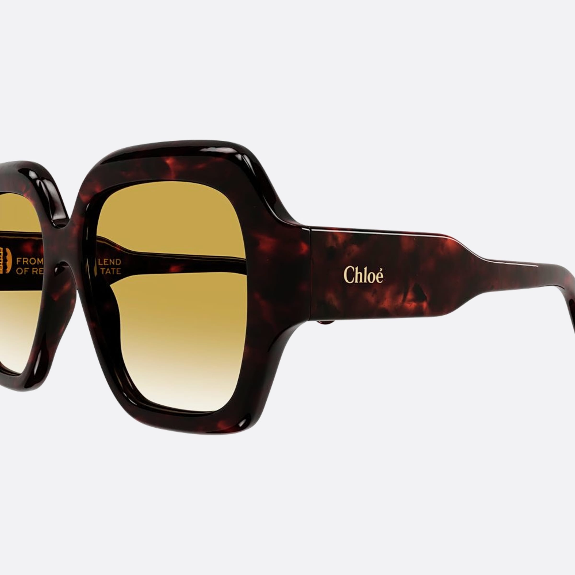 Chloe 56mm Hbbn Havana Butterfly Women Sunglasses - Detail View