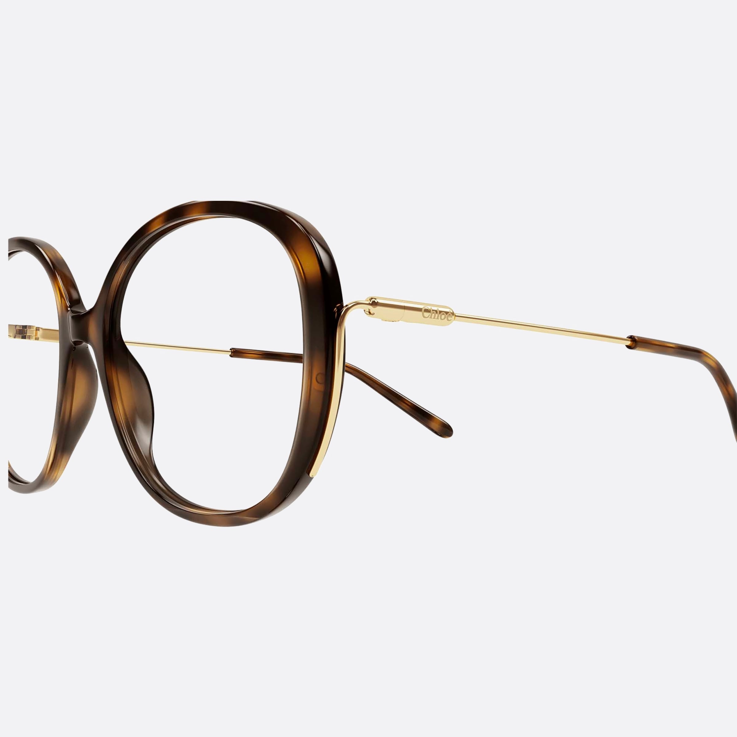 Chloe 55mm Havana Oversize Women Eyeglasses - Detail View