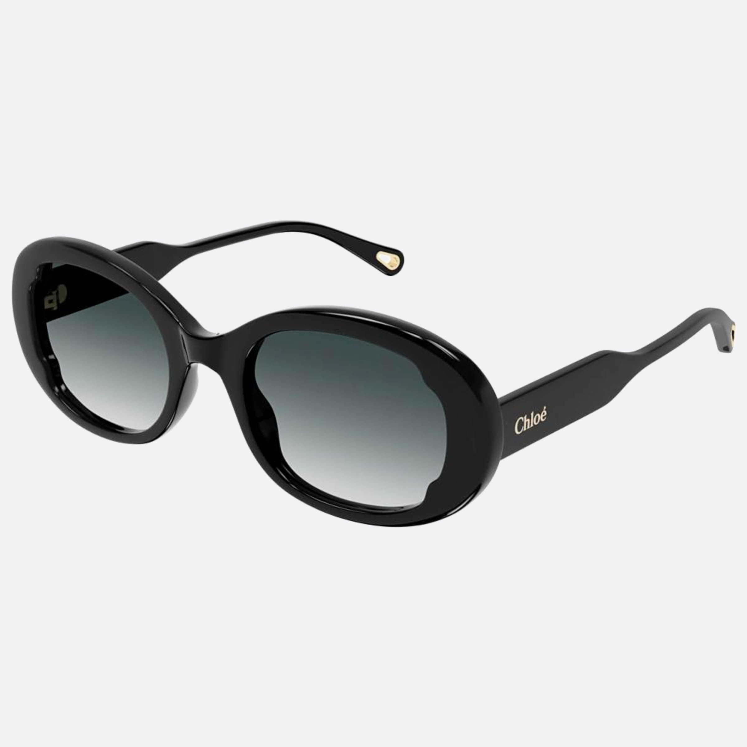 Chloe 54mm Ch0197sa Black Oval Women Sunglasses - Side View