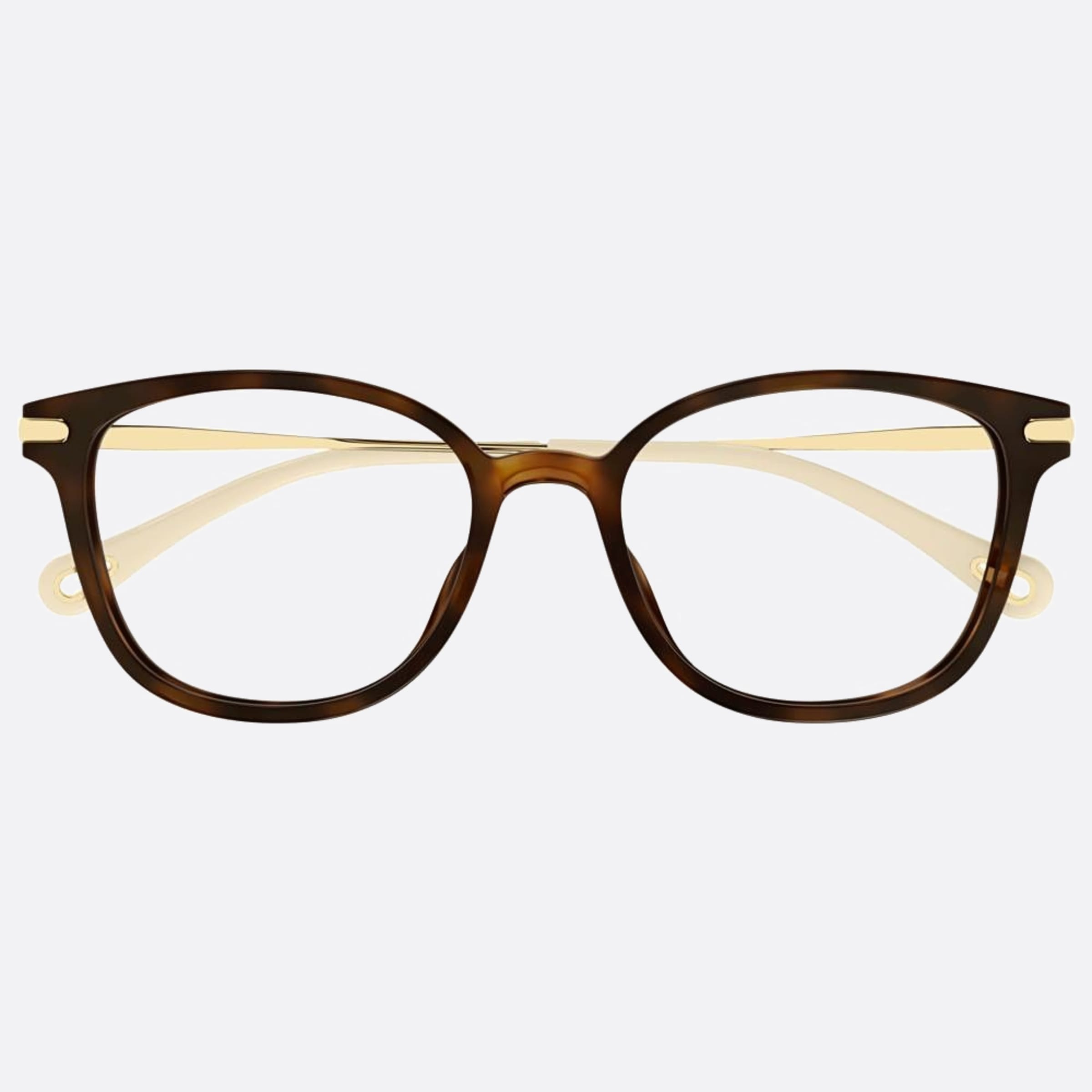 Chloe 53mm Ch0219oa Havana Cat Eye Women Eyeglasses - Main View