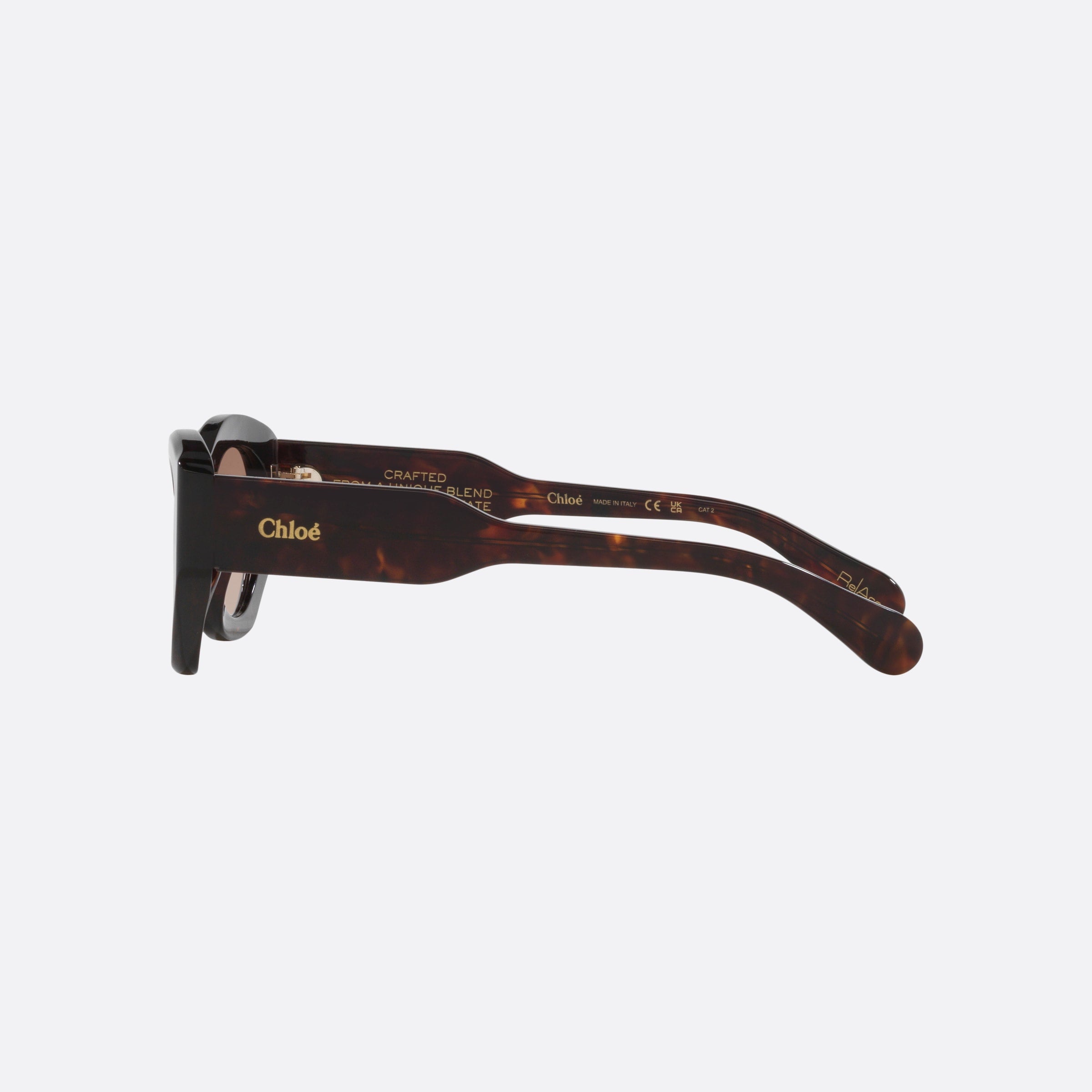 Chloe 53mm Dhbs Tortoise Cat Eye Women Sunglasses - Detail View