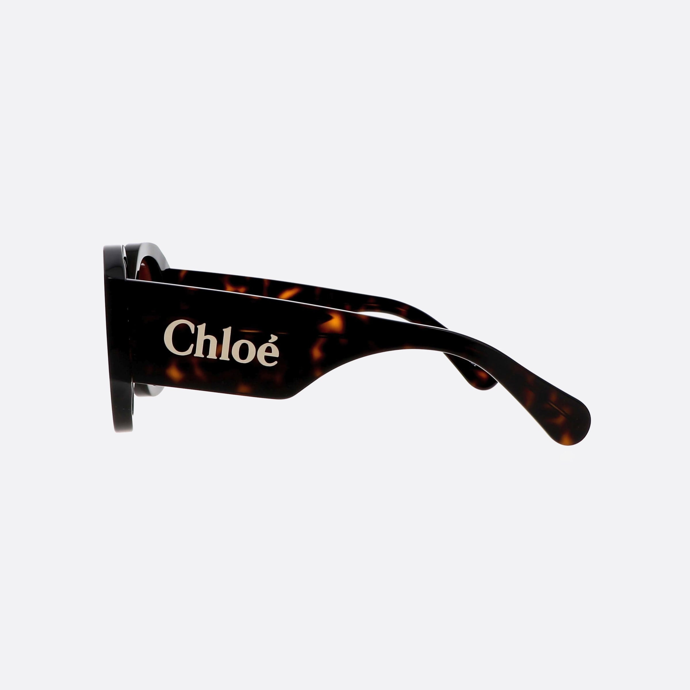 Chloe 53mm Hbb Havana Oversize Women Sunglasses - Detail View