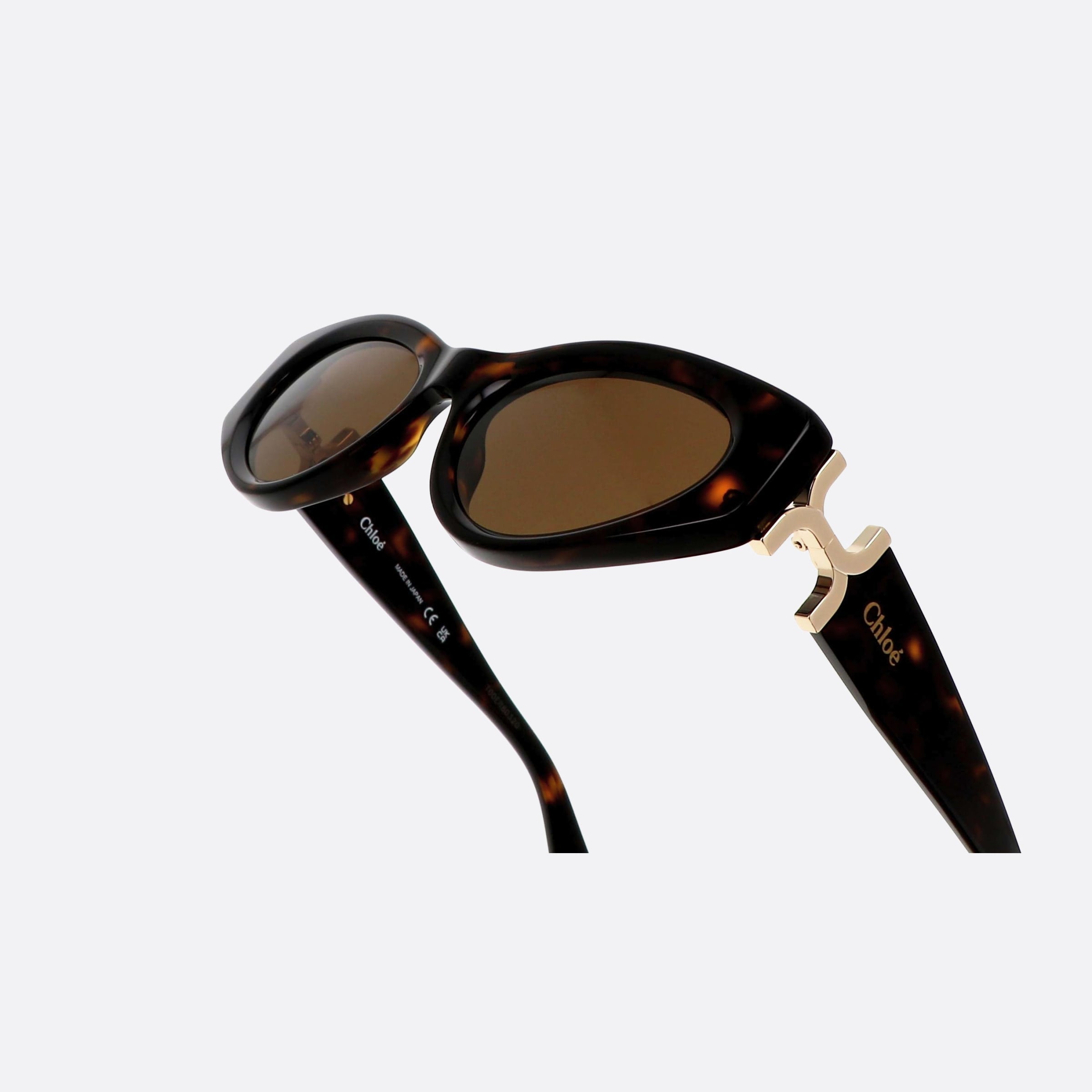 Chloe 52mm Hvbr Havana Cat Eye Women Sunglasses - Lifestyle Shot