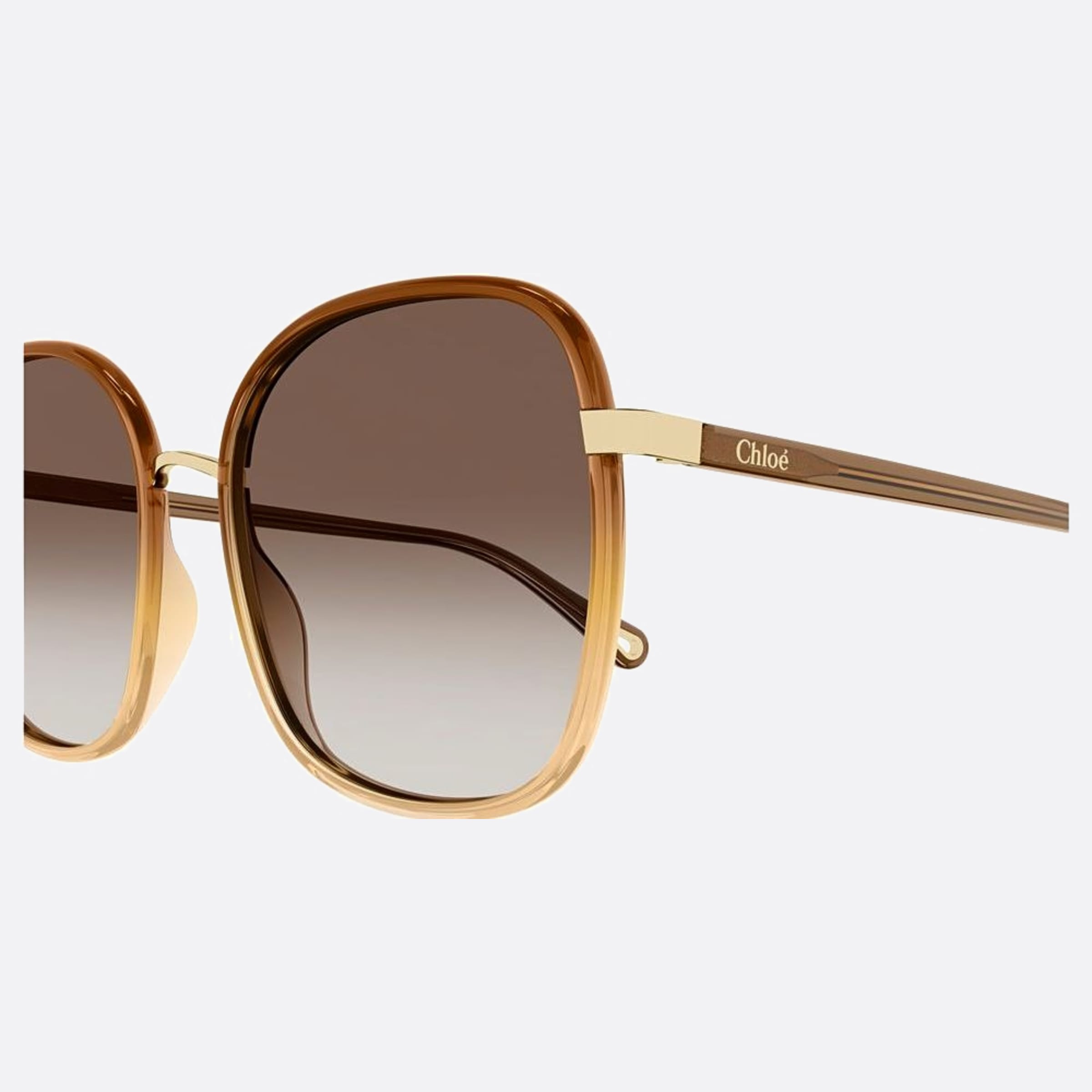 Chloe 59mm Franky Brown Oversize Women Sunglasses - Detail View