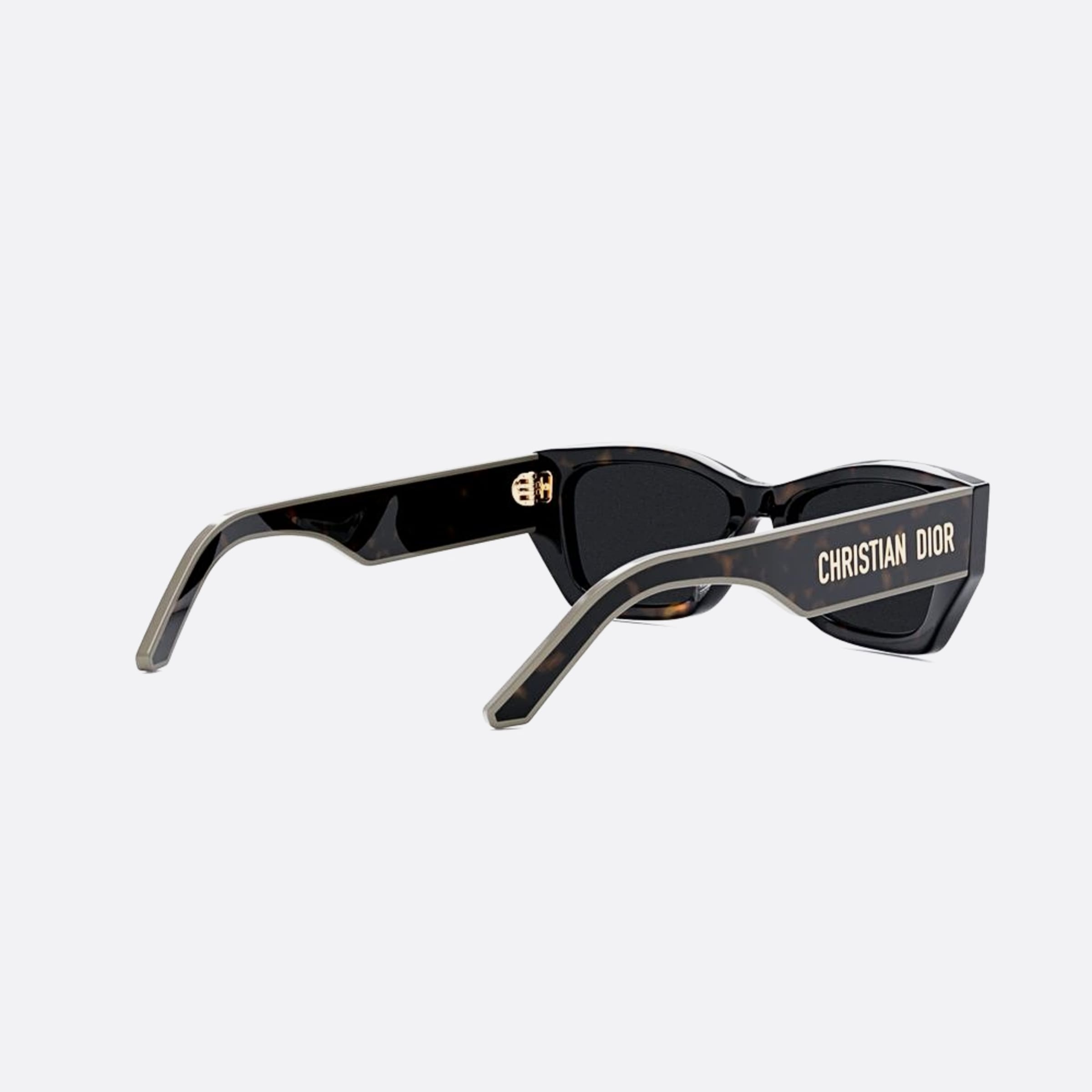 Dior 53mm Diorpacific S2u 27a0 Havana Squared Women Sunglasses - Additional Angle