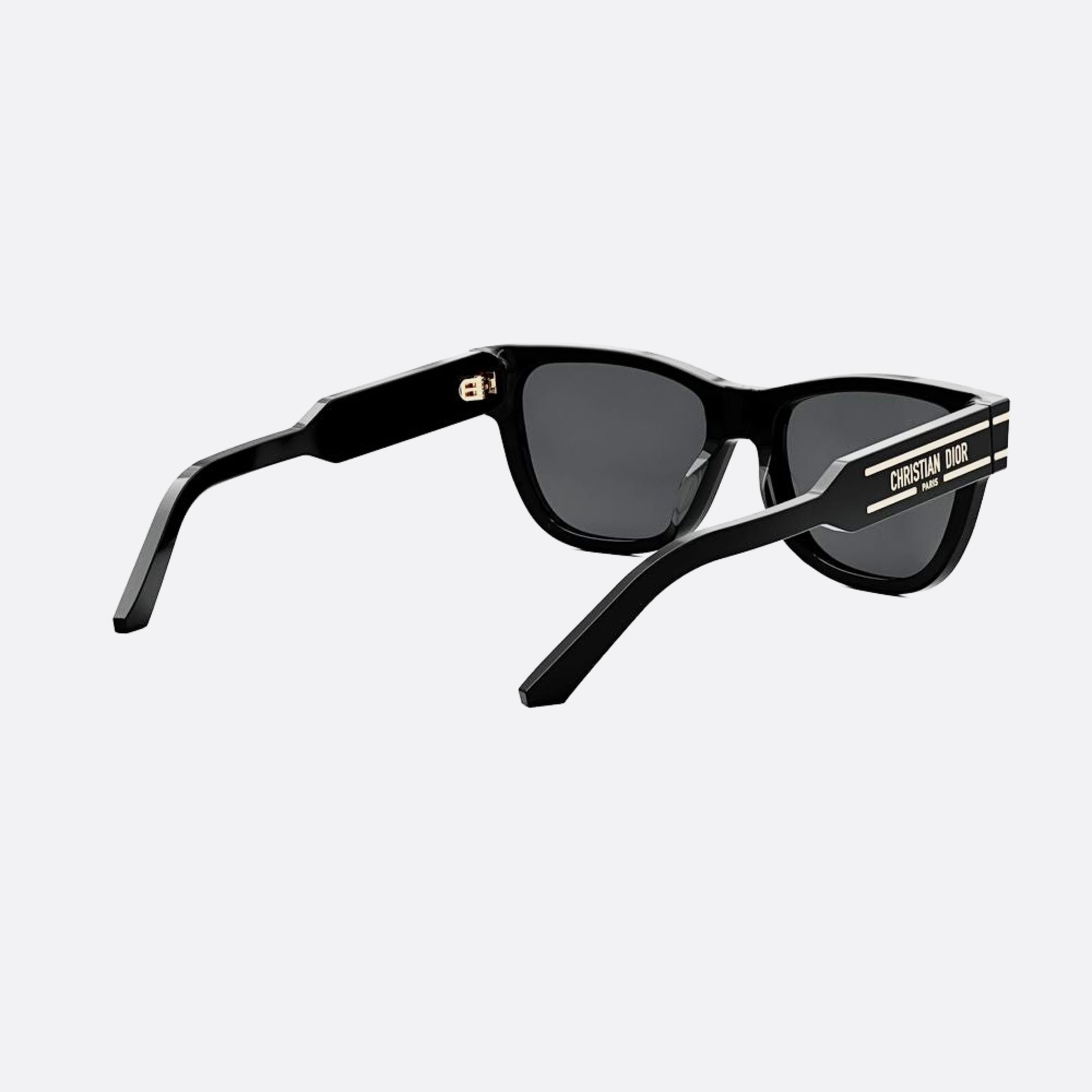 Dior 54mm Diorsignature S6u 10a0 Black Butterfly Women Sunglasses - Additional Angle