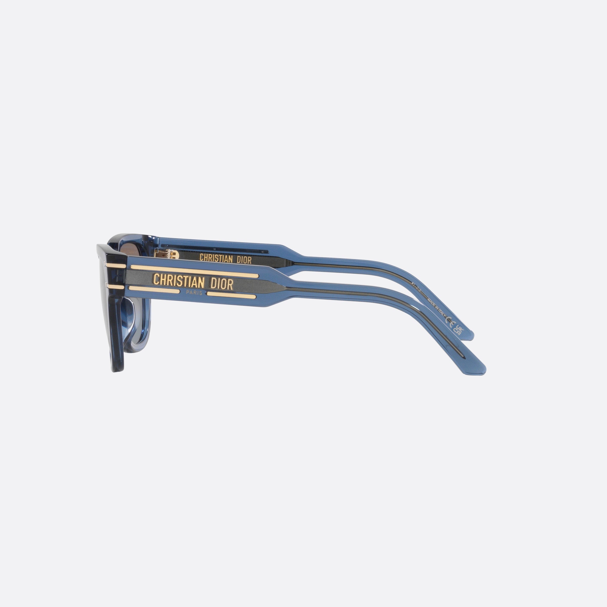 Dior 54mm Diorsignature S6u Cd40145u Blue Butterfly Women Sunglasses - Detail View