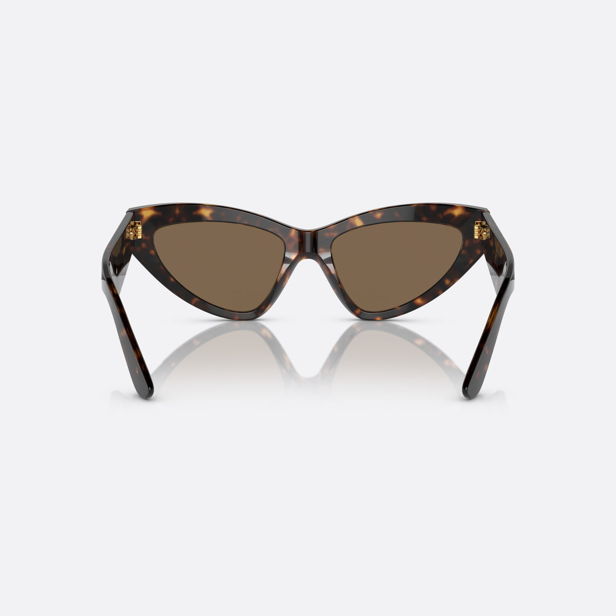 Dolce & Gabbana DG 4439 502/73 sunglasses, havana cat eye frame for women, plain bridge, integrated into front, wide tapered temples, back view