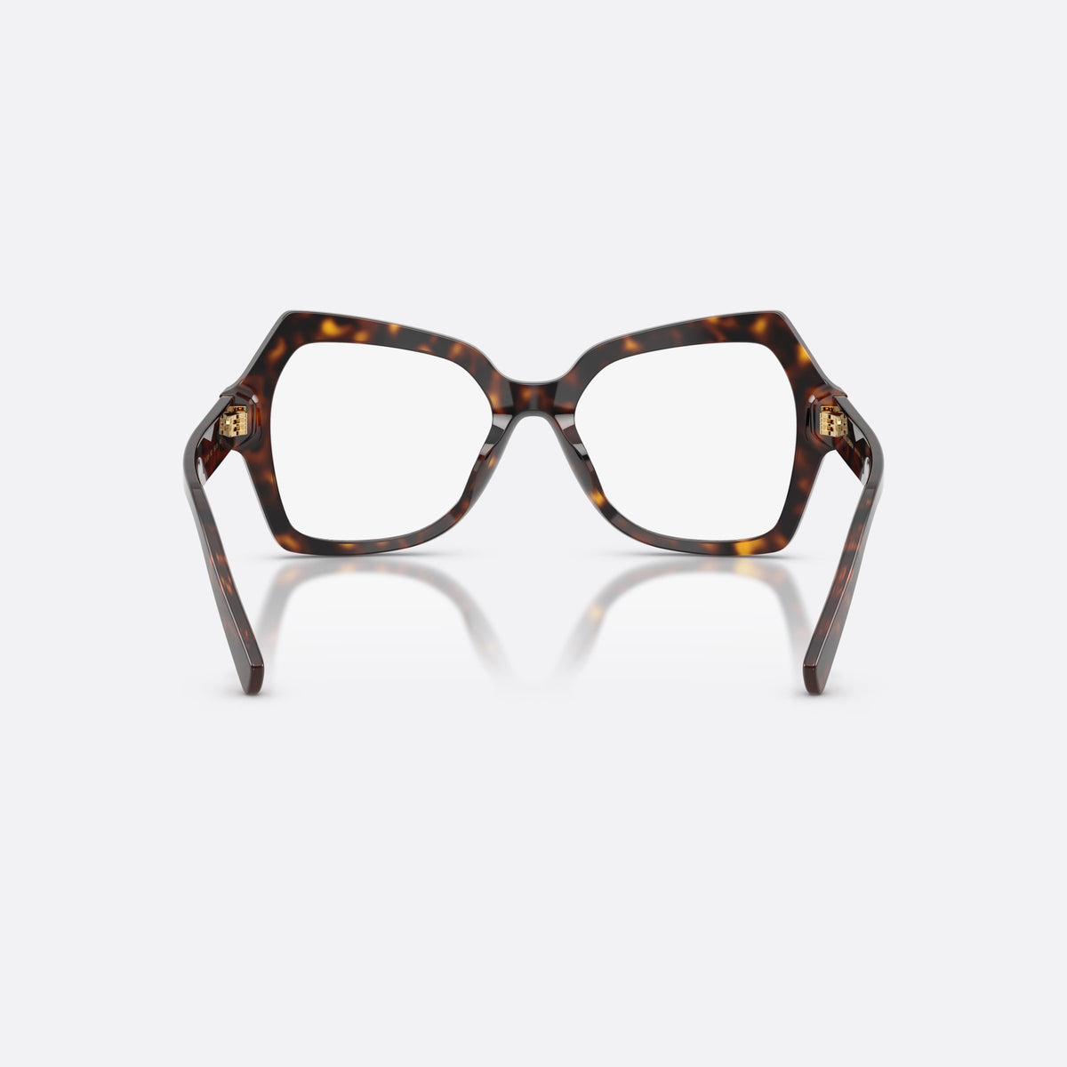 Dolce & Gabbana DG3429 502 eyeglasses, havana butterfly frame for women, plain bridge, brand logo on temple, full rim, back view