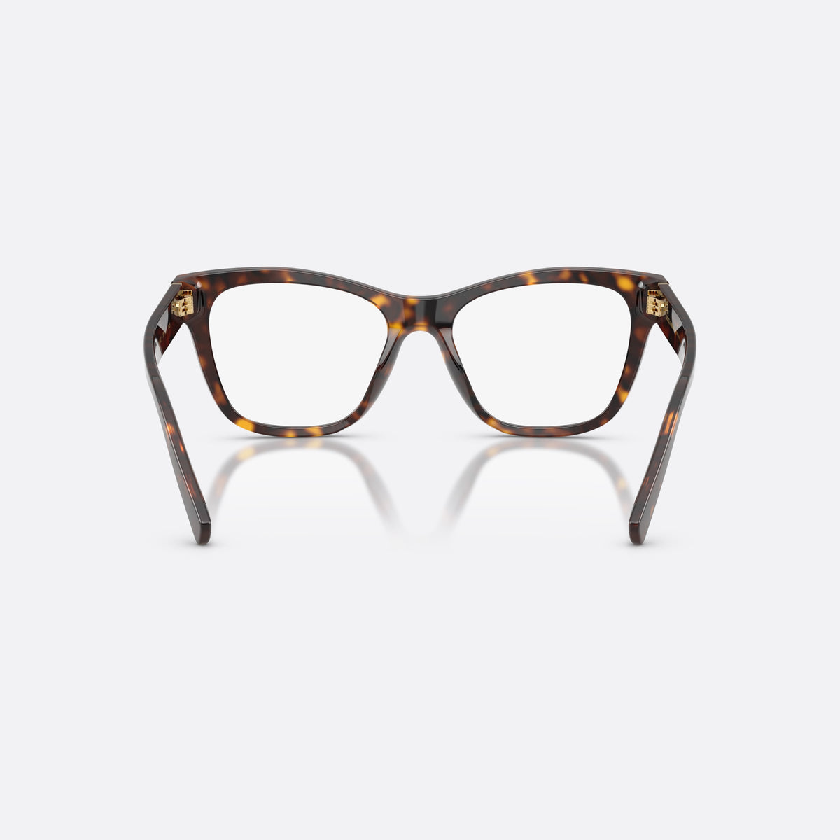 Dolce & Gabbana DG3430 502 eyeglasses, havana square frame for women, keyhole bridge, brand logo on temple plaque, back view