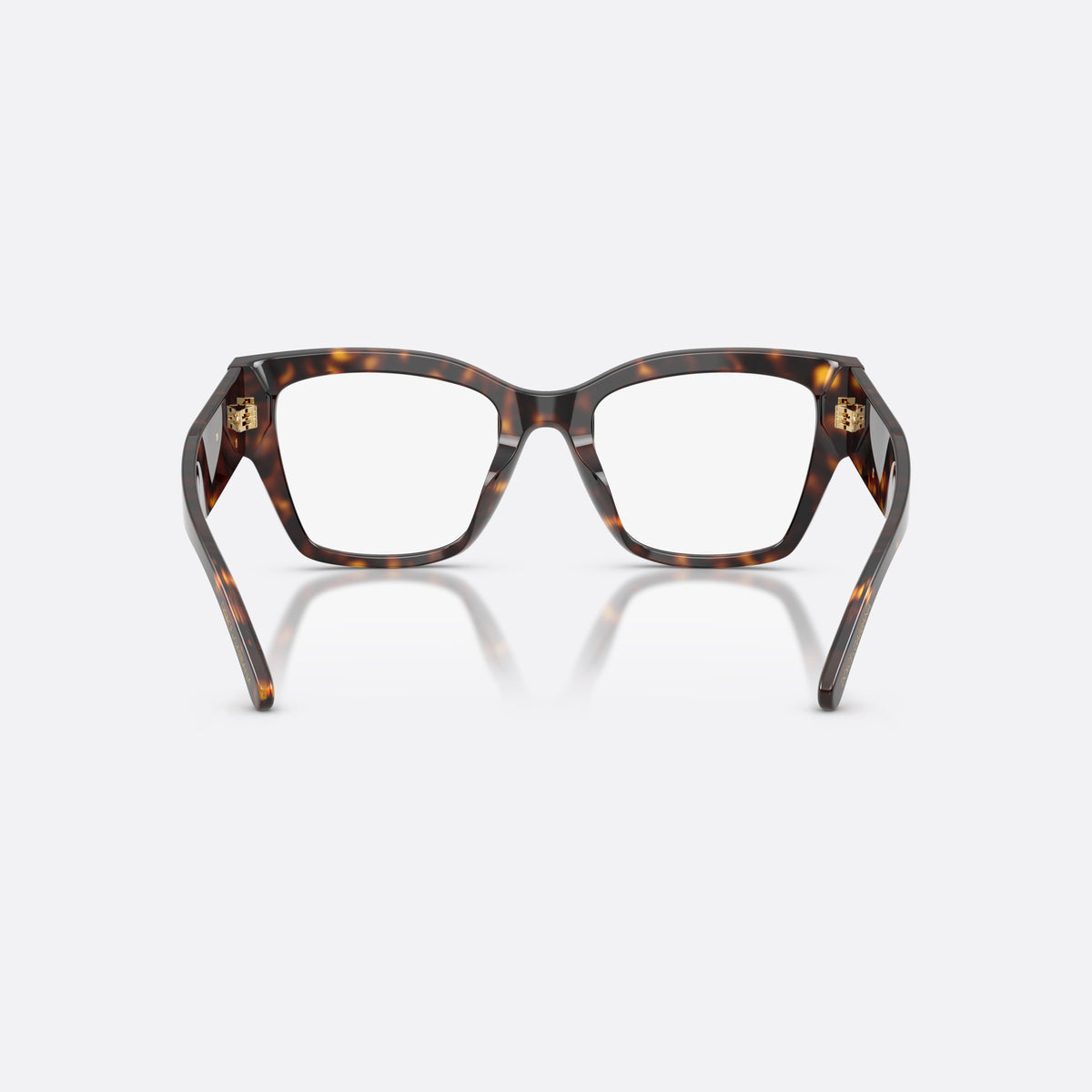 Dolce & Gabbana DG3435B 502 eyeglasses, havana butterfly frame for women, plain bridge, wide tapered temples, full-rim acetate front, back view