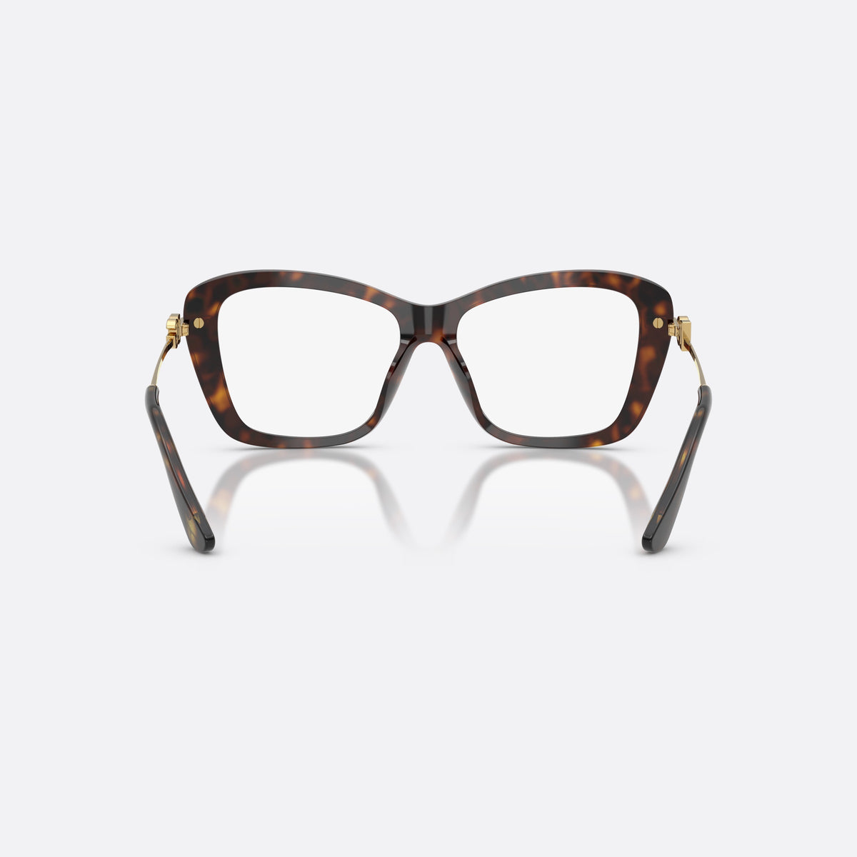 Dolce & Gabbana DG3439 502 eyeglasses, havana square frame for women, keyhole bridge, brand logo plaque on temples, back view