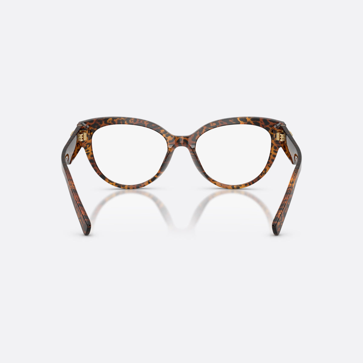 Dolce & Gabbana DG3440 3470 eyeglasses, brown cat eye frame for women, plain bridge, integrated with frame, slim tapered temples, back view