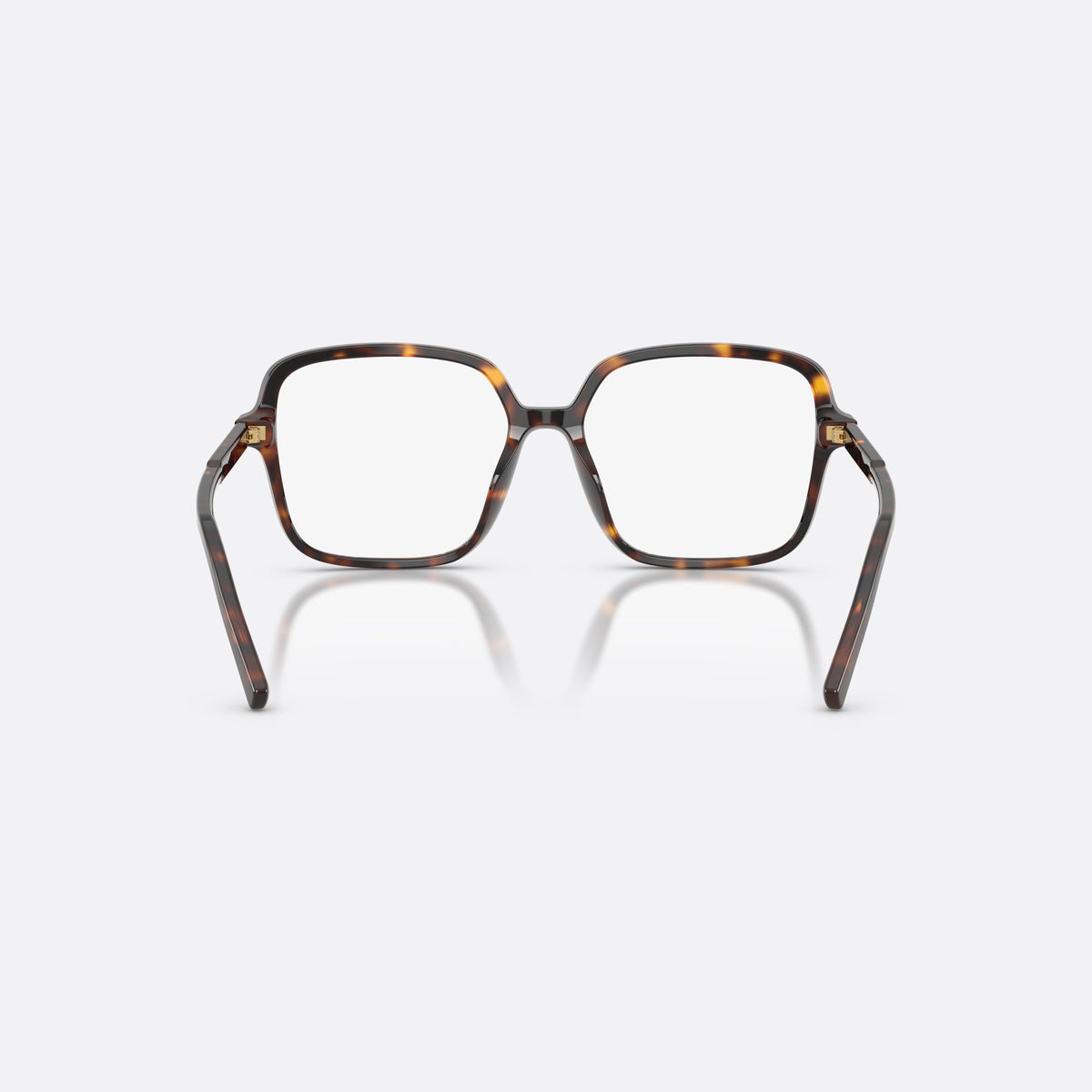 Dolce & Gabbana DG3442 502 eyeglasses, havana square frame for women, plain double bridge, brand lettering on the temples, back view