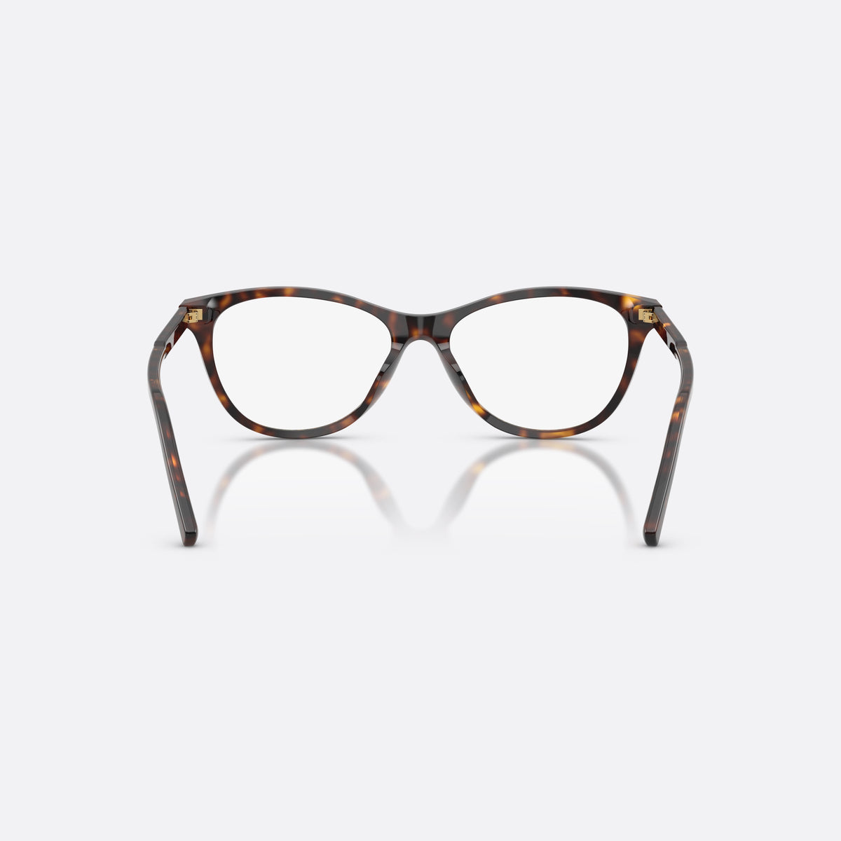 Dolce & Gabbana DG3443 502 eyeglasses, havana cat eye frame for women, plain combined bridge, brand lettering on temples, back view