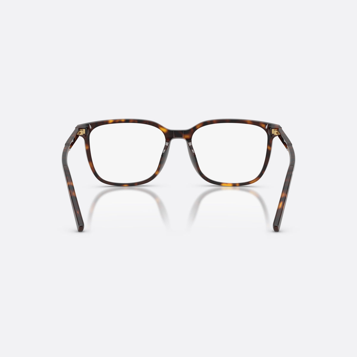 Dolce & Gabbana DG3445 502 eyeglasses, havana square frame for men, plain bridge, brand lettering on temples, back view