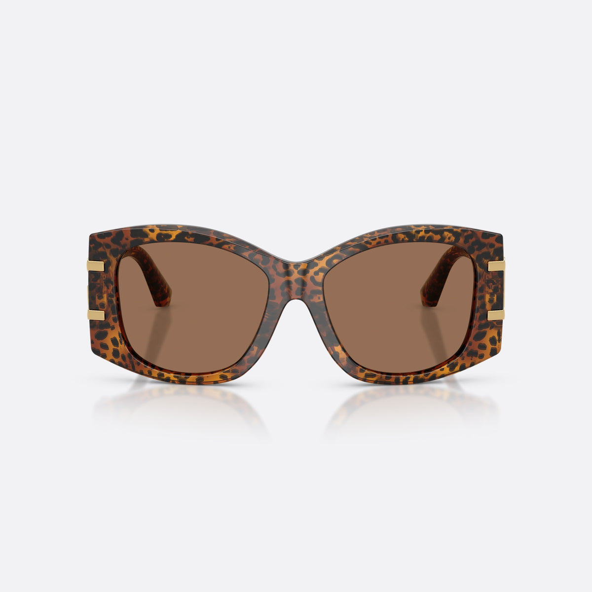 Dolce & Gabbana DG4501 347073 sunglasses, brown butterfly frame for women, plain integrated bridge, brand logo plaque on temple, front view