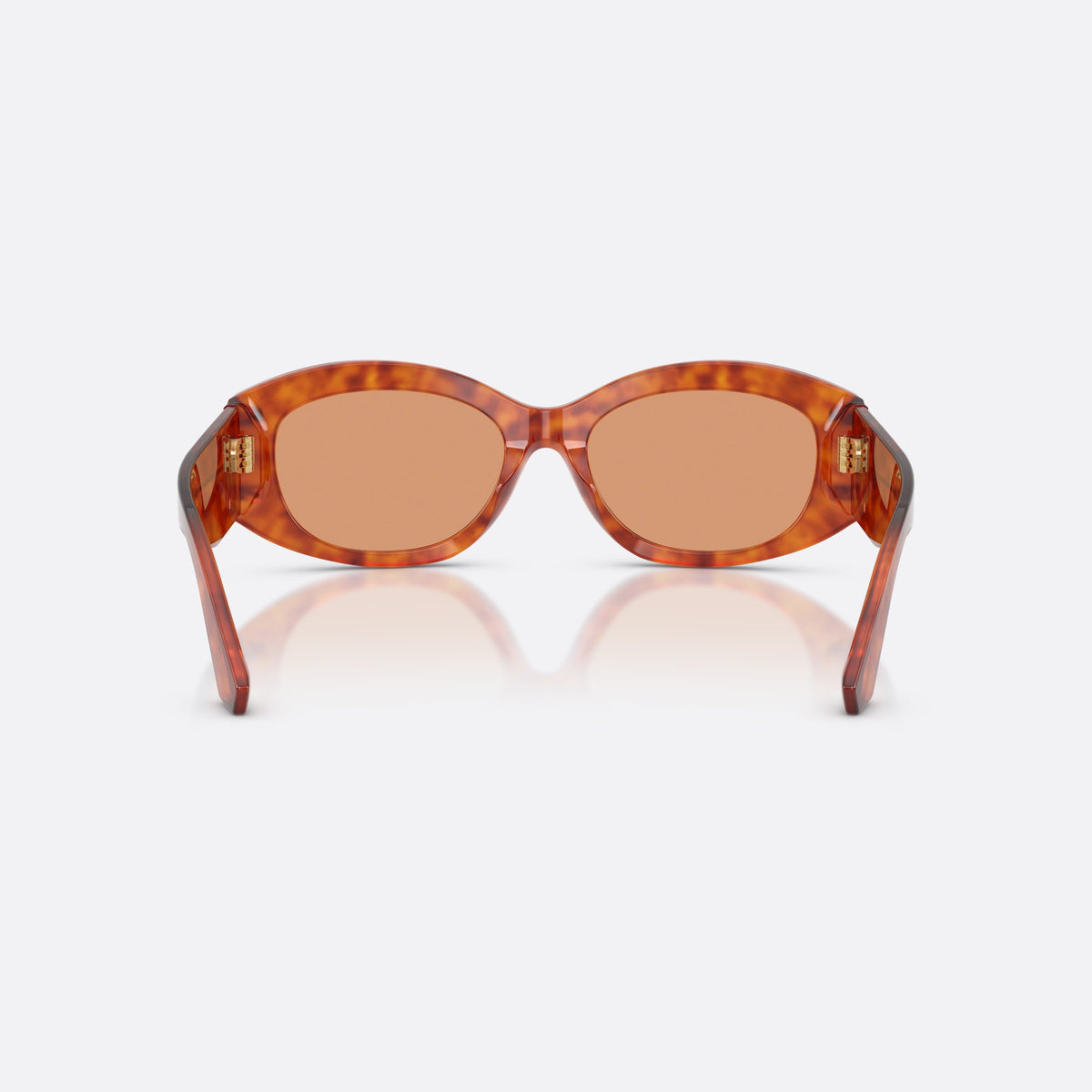 Dolce & Gabbana DG4502 3452/7 sunglasses, brown oval frame for women, plain integrated bridge, brand logo plaque on temple, back view