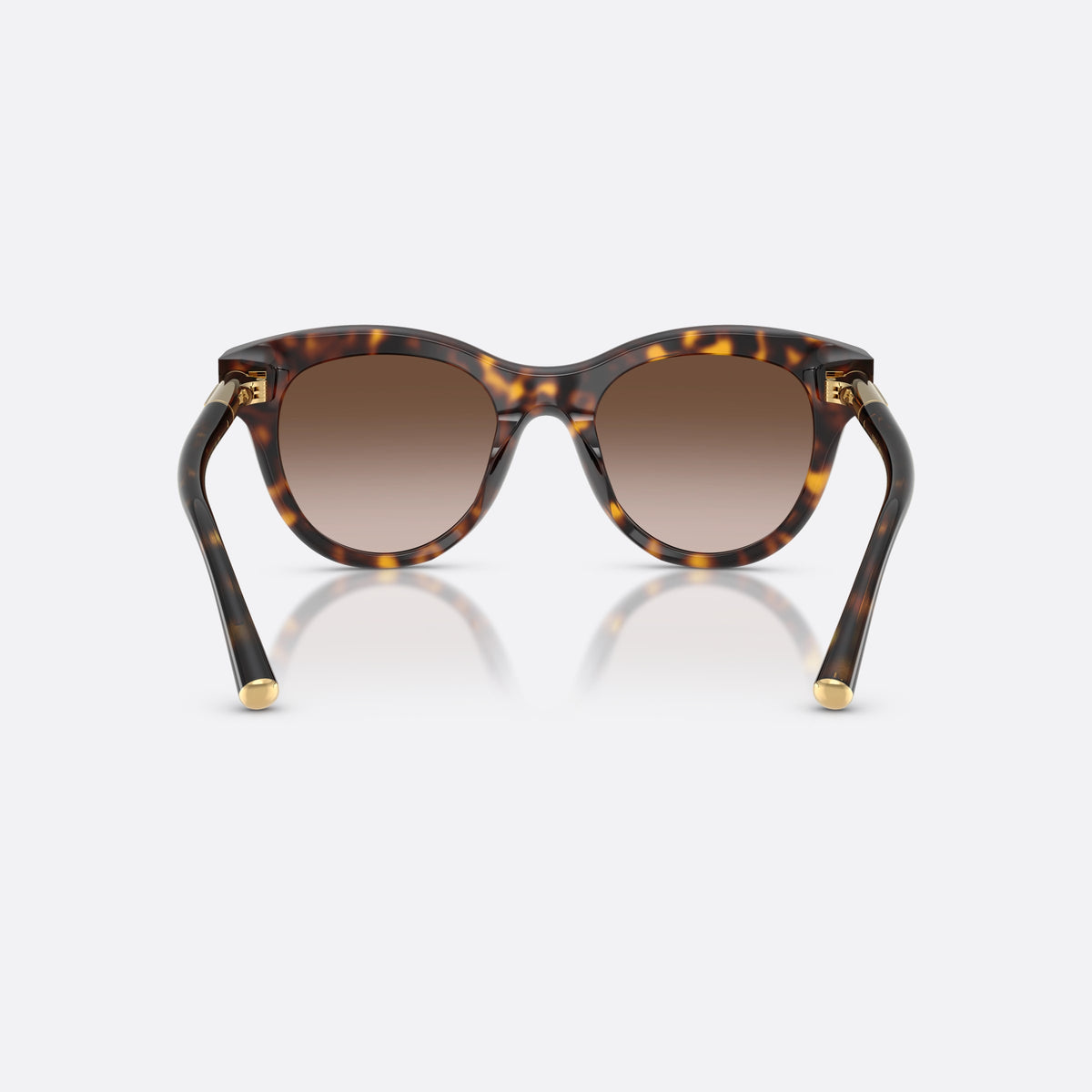 Dolce & Gabbana DG4518 502/13 sunglasses, havana phantos frame for women, plain bridge, brand lettering on temples, full-rim frame, back view