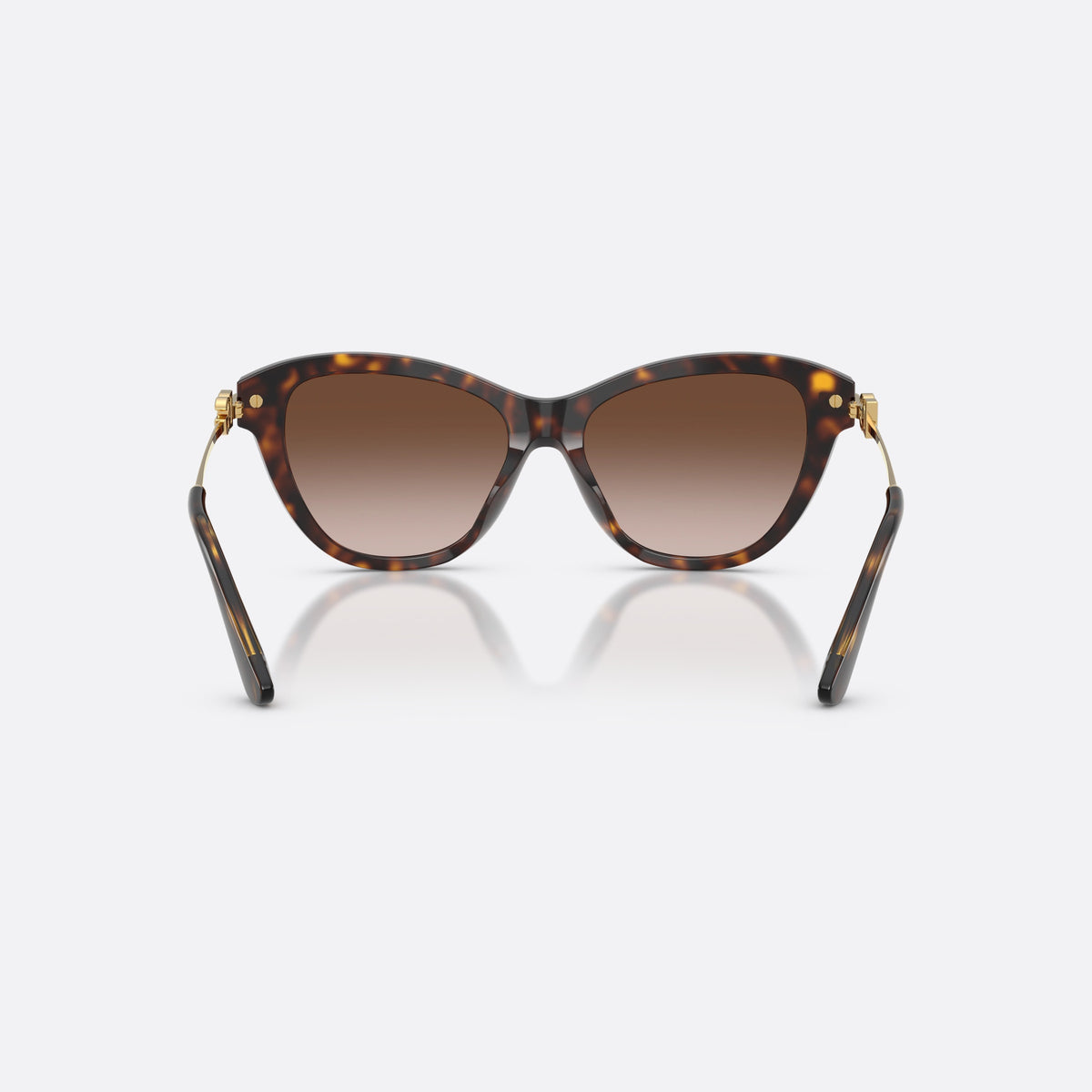 Dolce & Gabbana DG4534 502/13 sunglasses, havana butterfly frame for women, plain bridge, brand logo plaque on temple, back view