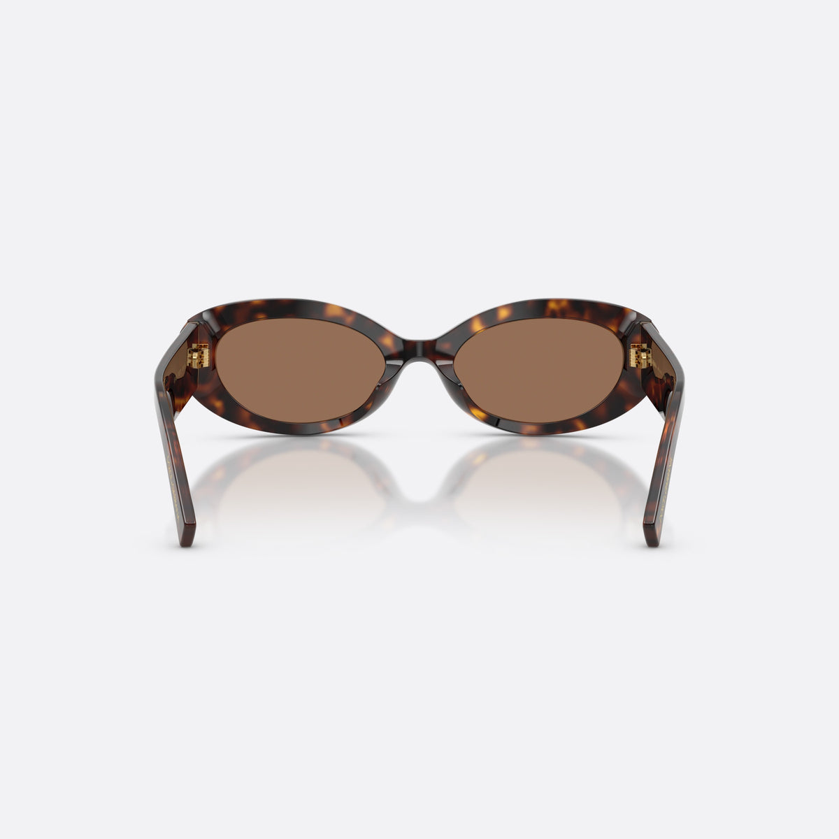 Dolce & Gabbana DG4537 502/73 sunglasses, havana oval frame for women, plain bridge, brand logo on temple, full-rim frame, back view